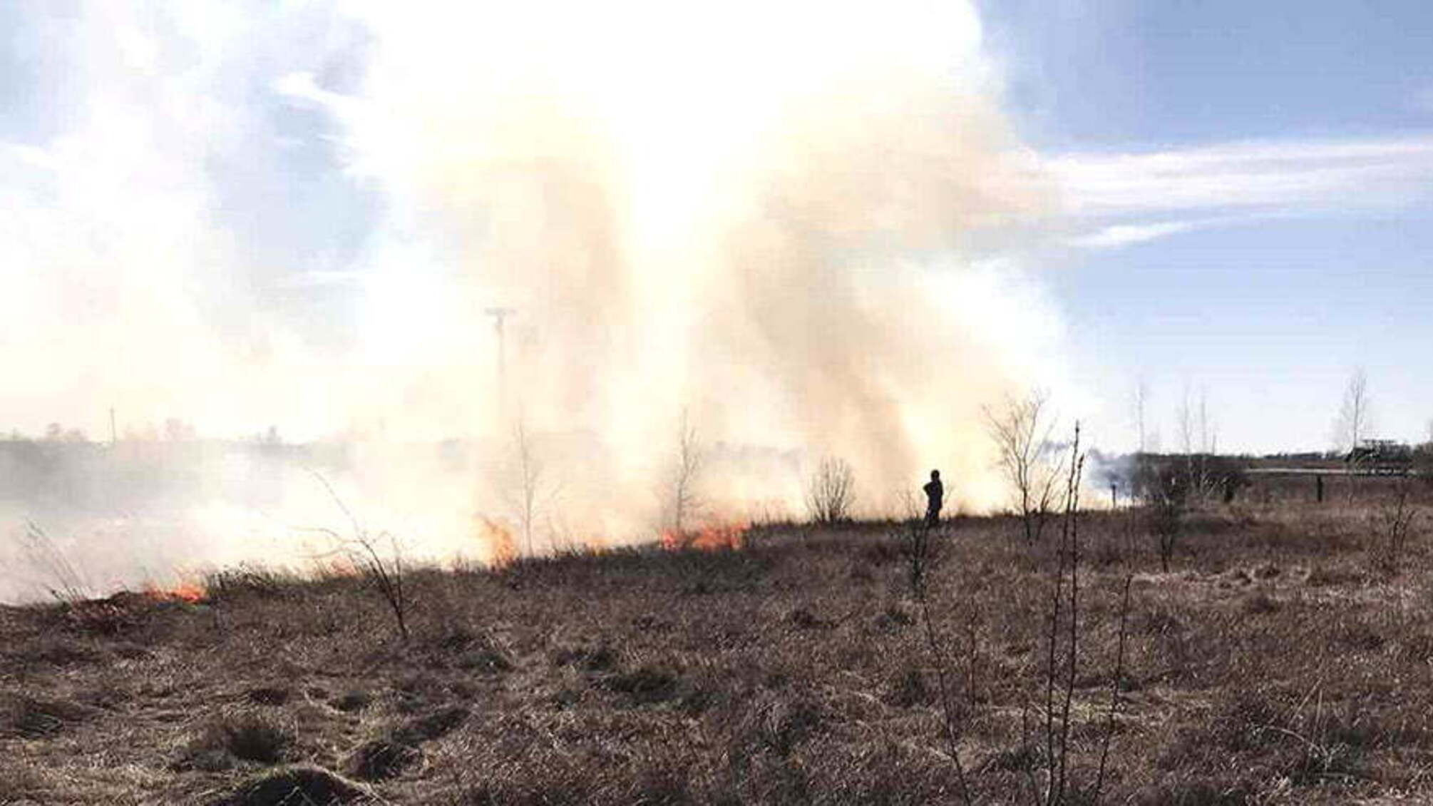 Полтавська область: рятувальники ліквідували 5 пожеж на відкритій території