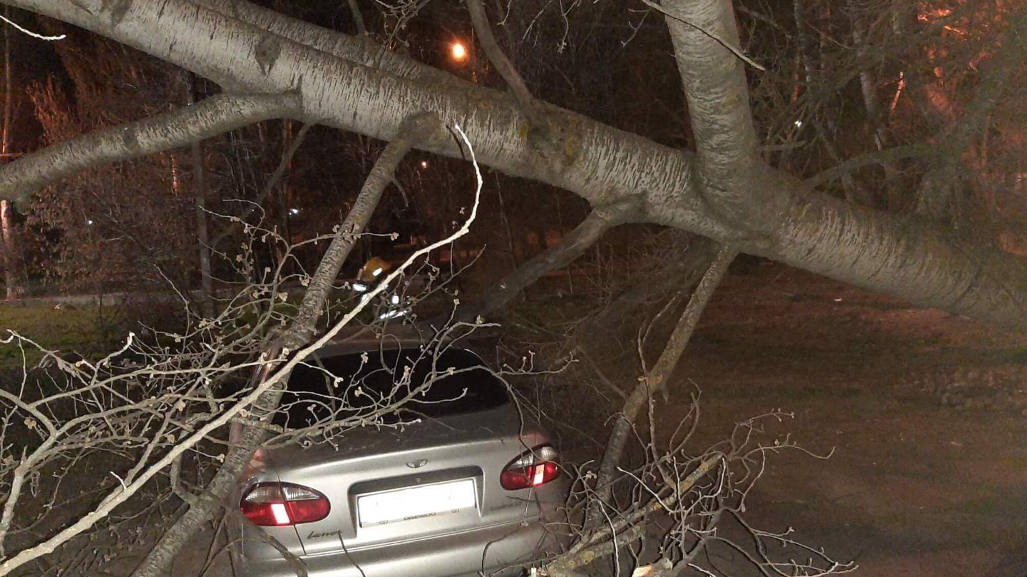 Донеччина: рятувальники прибрали дерево, яке впало на автівку