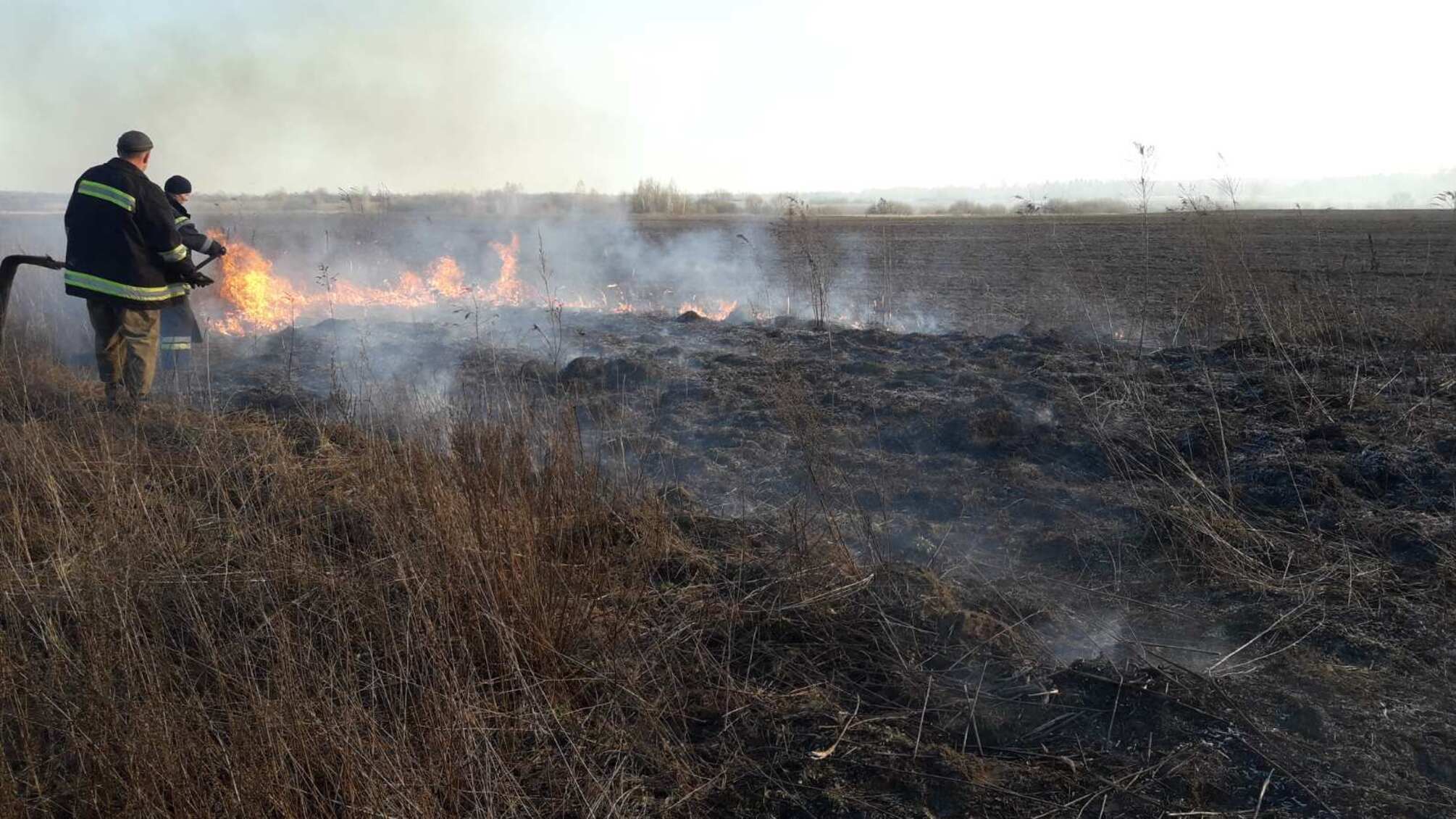 Житомирська область: за добу вогнеборцями області ліквідовано 17 пожеж сухотрав’я