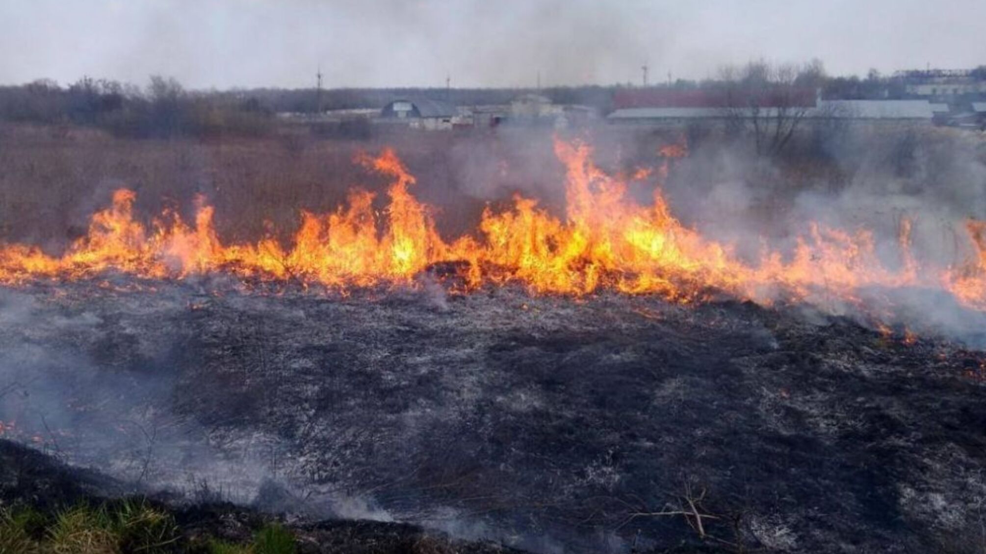 За вихідні рятувальники Черкащини ліквідували 6 пожеж на відкритій території (ВІДЕО)