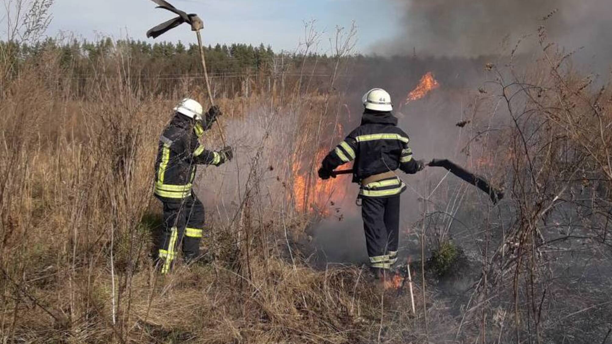 Київська область: впродовж вихідних ліквідовано більше ста пожеж в екосистемах (ВІДЕО)