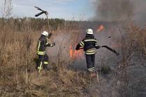 Київська область: впродовж вихідних ліквідовано більше ста пожеж в екосистемах (ВІДЕО)