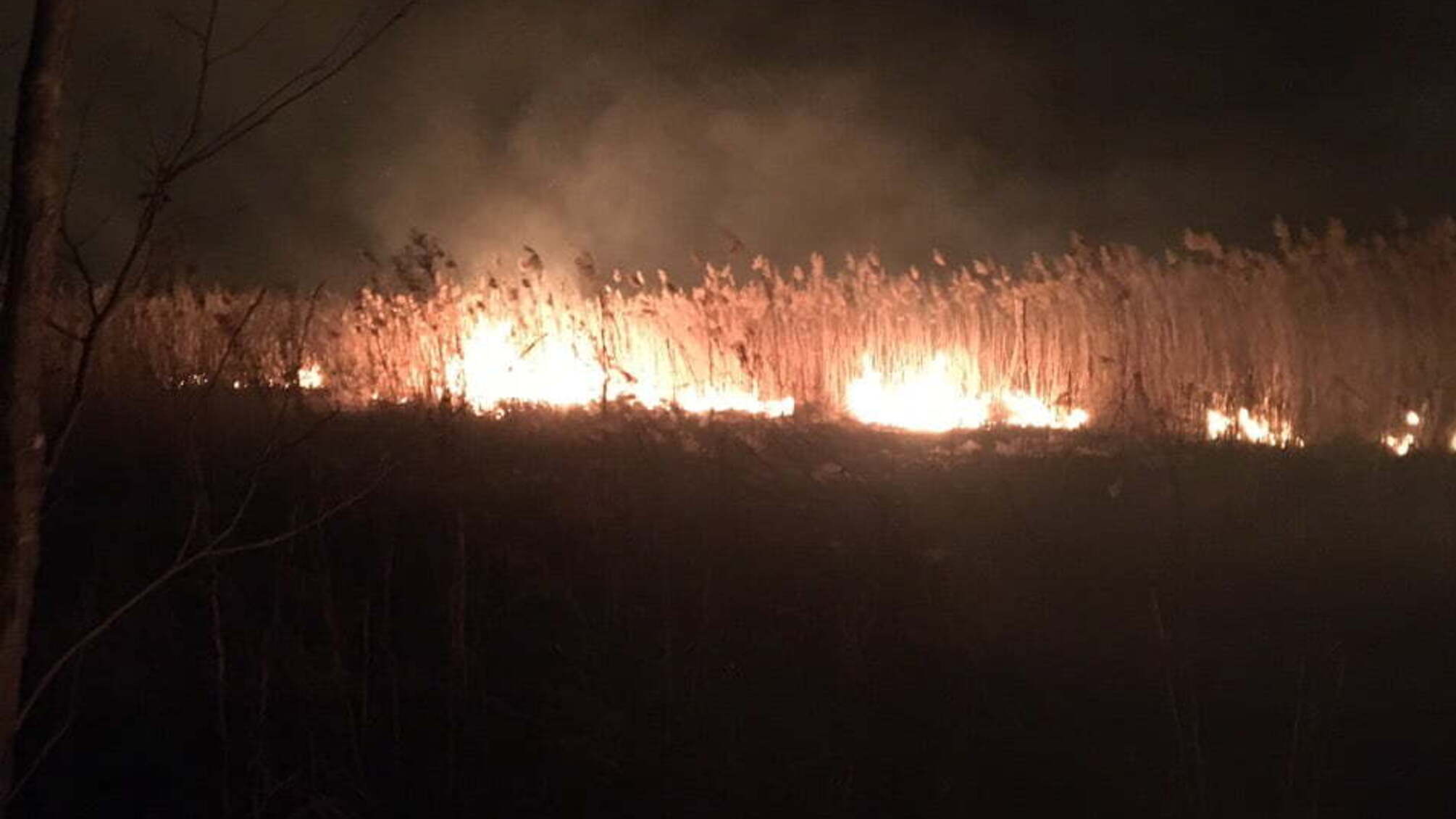 Упродовж минулої доби за екстреним номером «101» надійшло 41 повідомлення про виникнення пожеж на території області, з яких 25 – це пожежі, спричинені займанням сухої трави