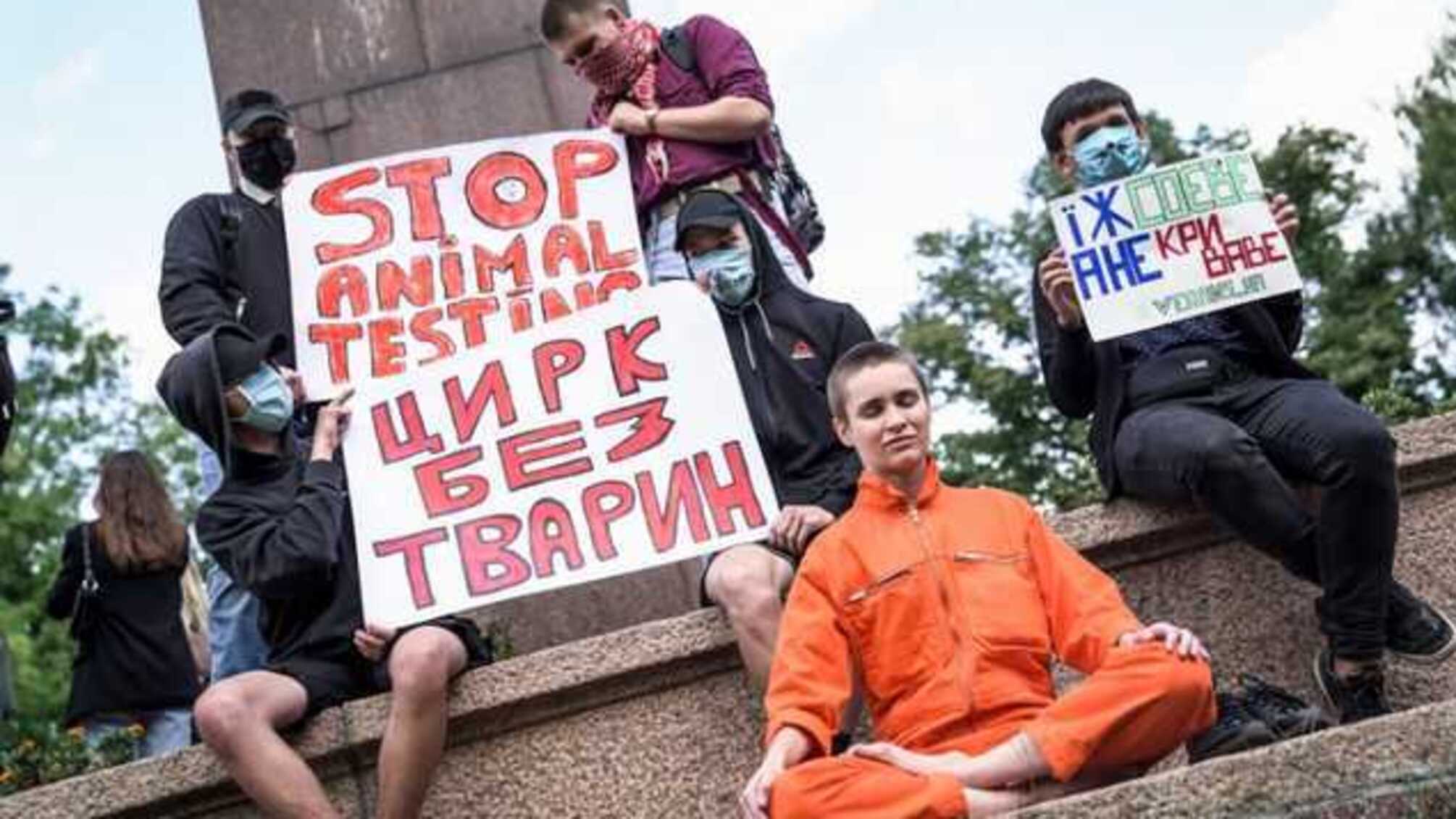 У Житомирі заборонили пересувні цирки з тваринами
