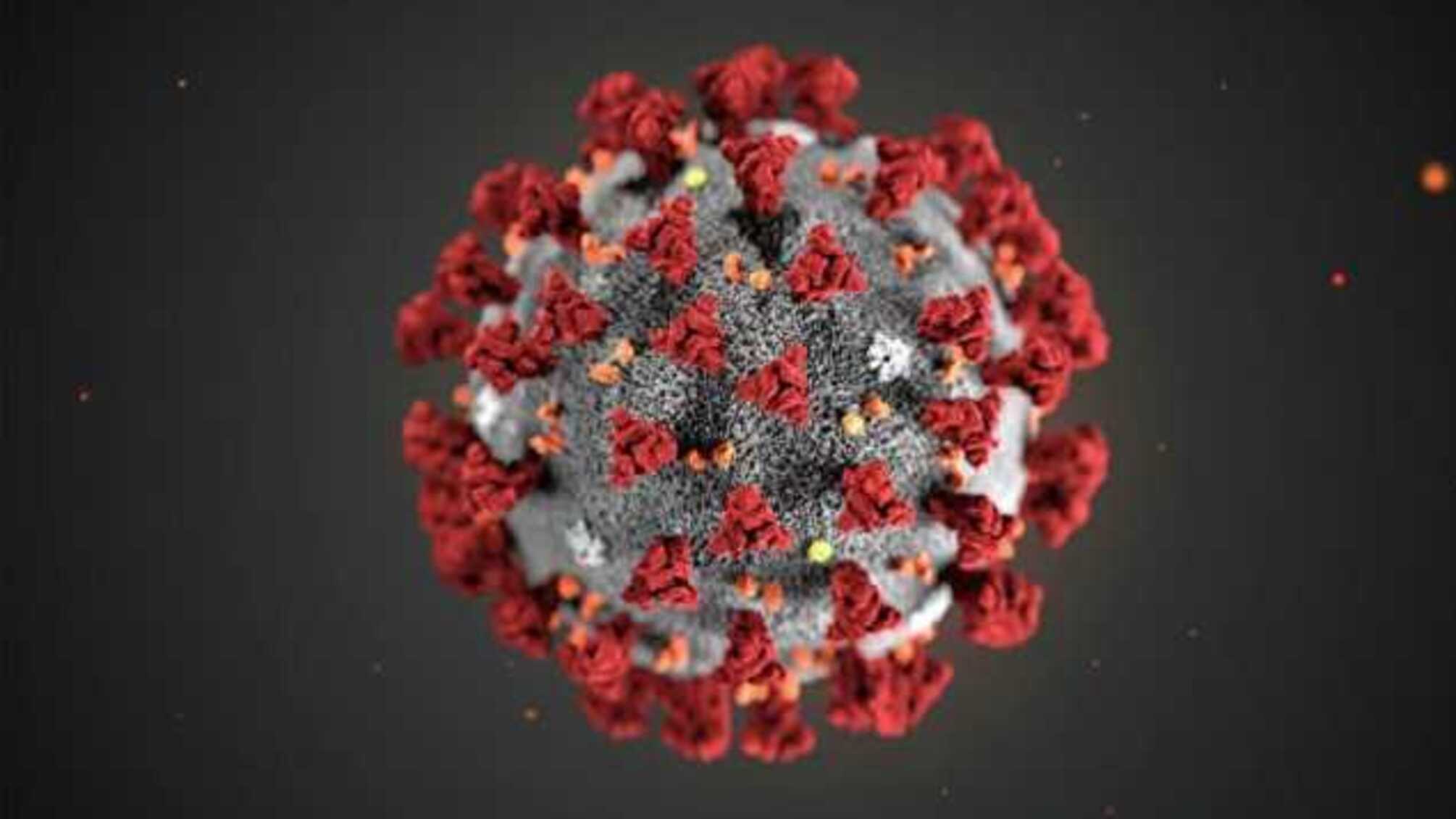 'У вас есть 4 дня': предложен новый метод для профилактики заражения коронавирусом