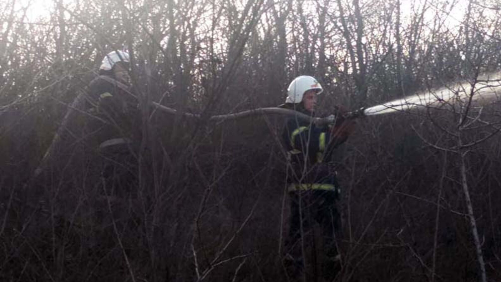 Дніпропетровська область: вогнеборці ліквідували займання у лісовому масиві