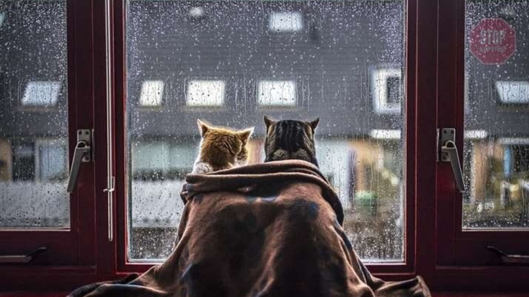 В Україні знову похолодає