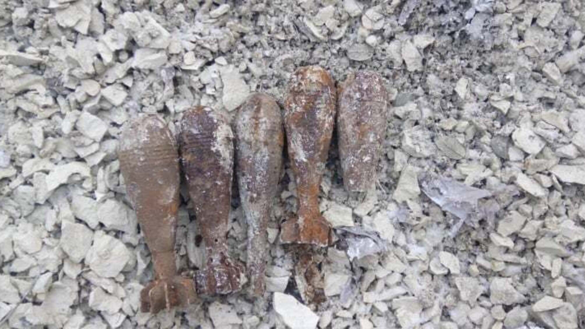 Волинська область: сапери ДСНС знешкодили 5 мінометних мін та один снаряд часів минулих війн