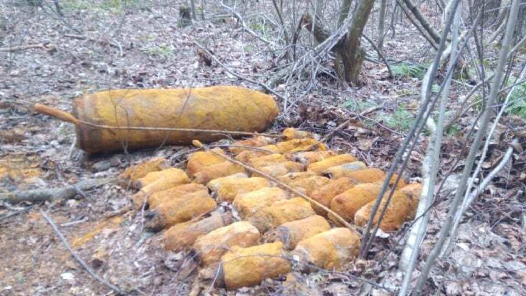 Волинська область: сапери ДСНС вилучили та знищили арсенал боєприпасів часів Другої Світової війни