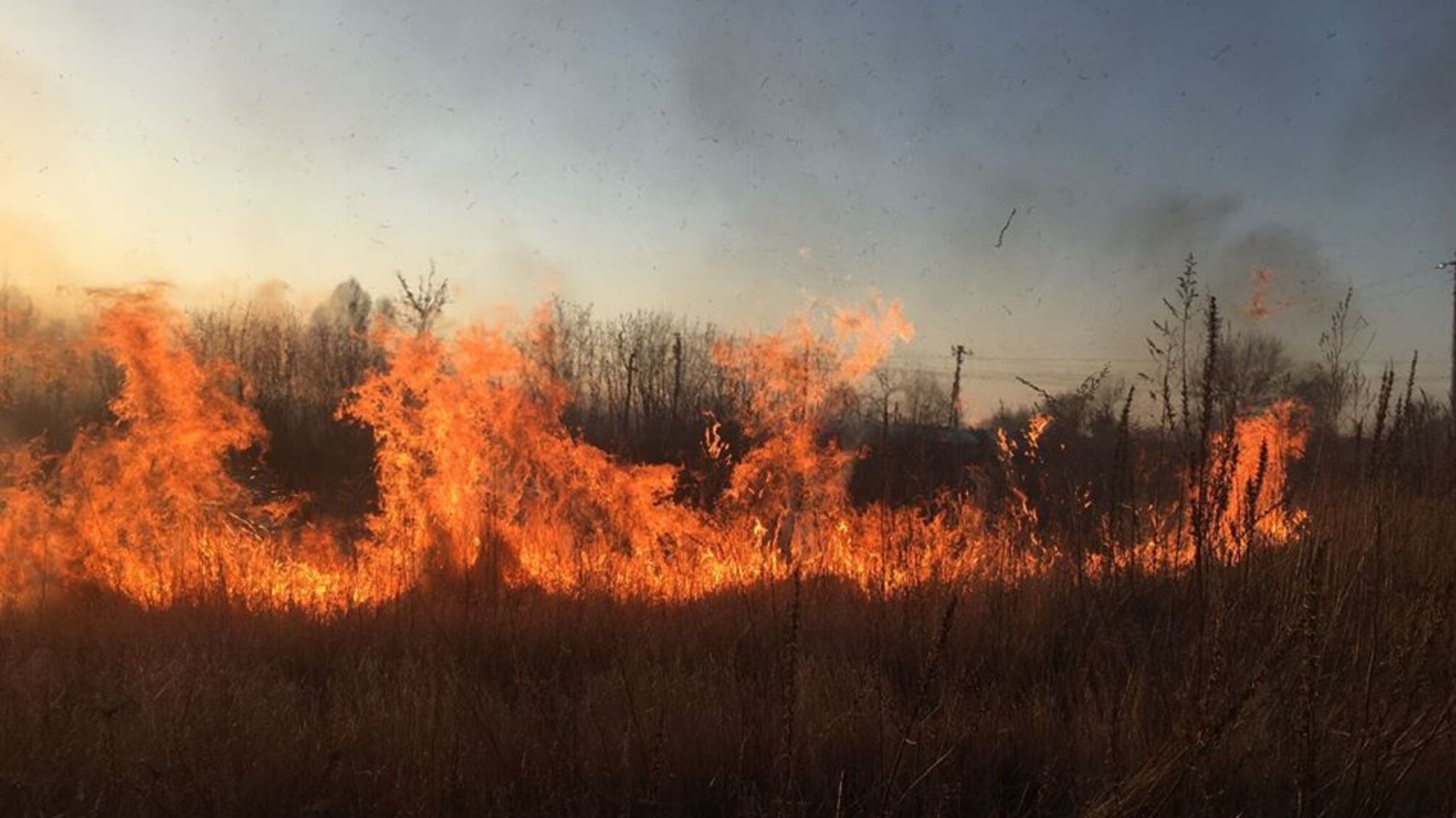 Упродовж доби на Львівщині вогнеборці ліквідували 23 пожежі сухої трави