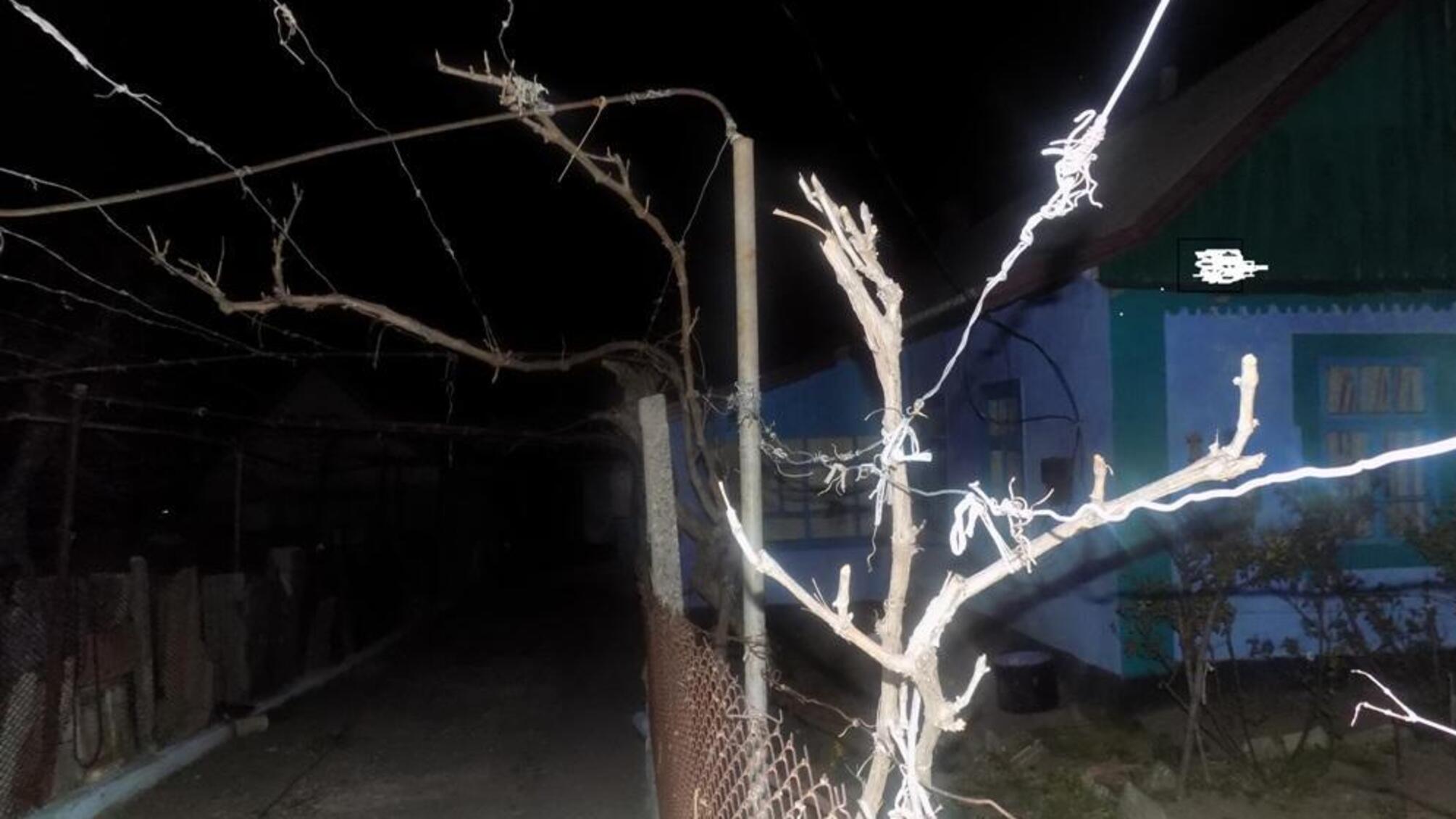 Поліцейські притягують до відповідальності неповнолітнього жителя Арцизького району, який наніс старенькій односельчанці тілесні ушкодження