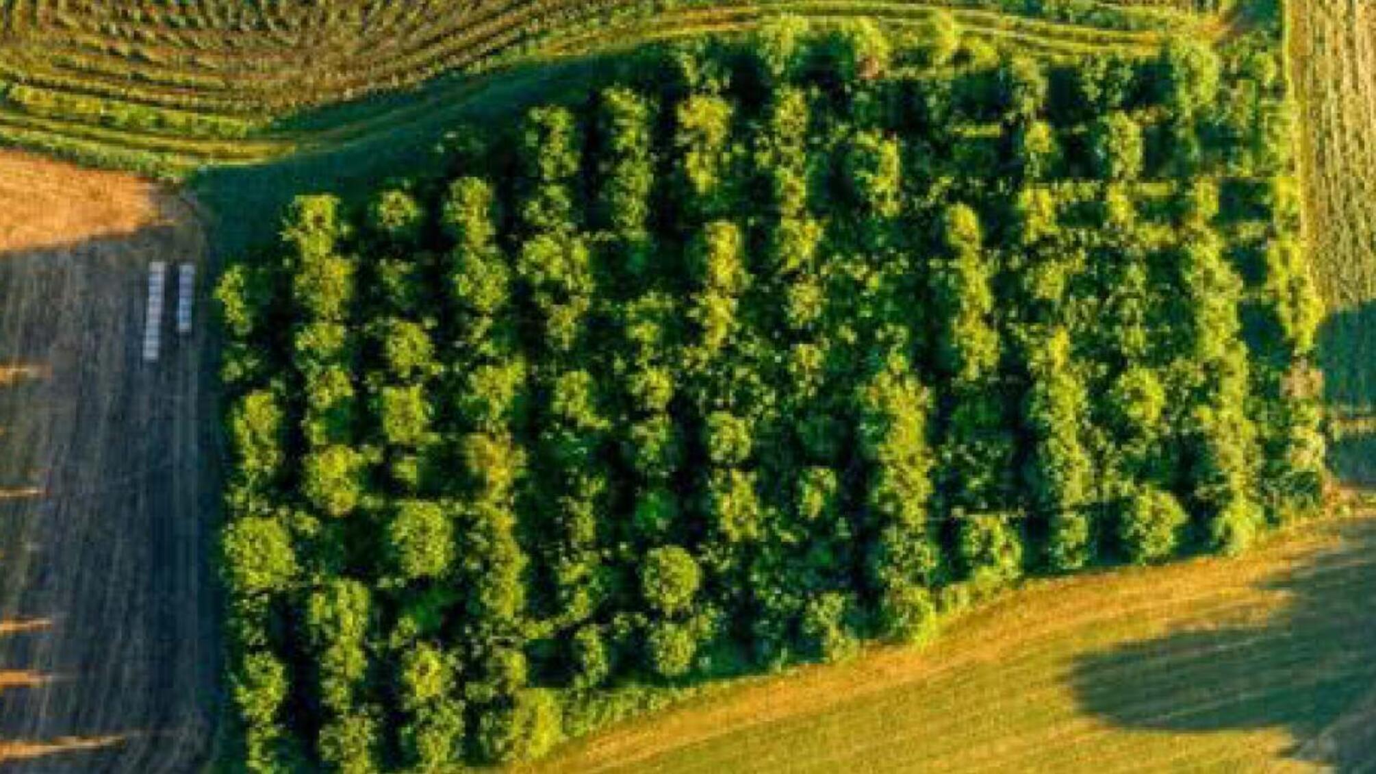 Справу щодо заволодіння 9,8 га особливо цінних земель Інституту ім. Таїрова скеровано до суду