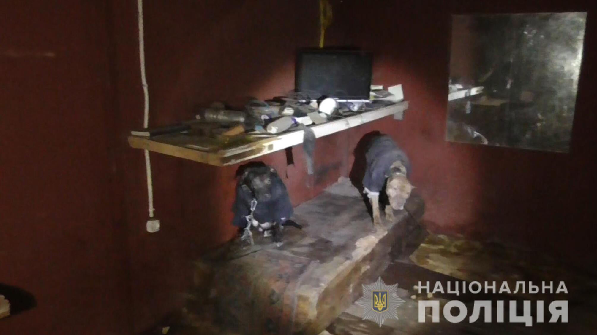 Сумська поліція за фактом жорстокого поводження з тваринами відкрила кримінальне провадження