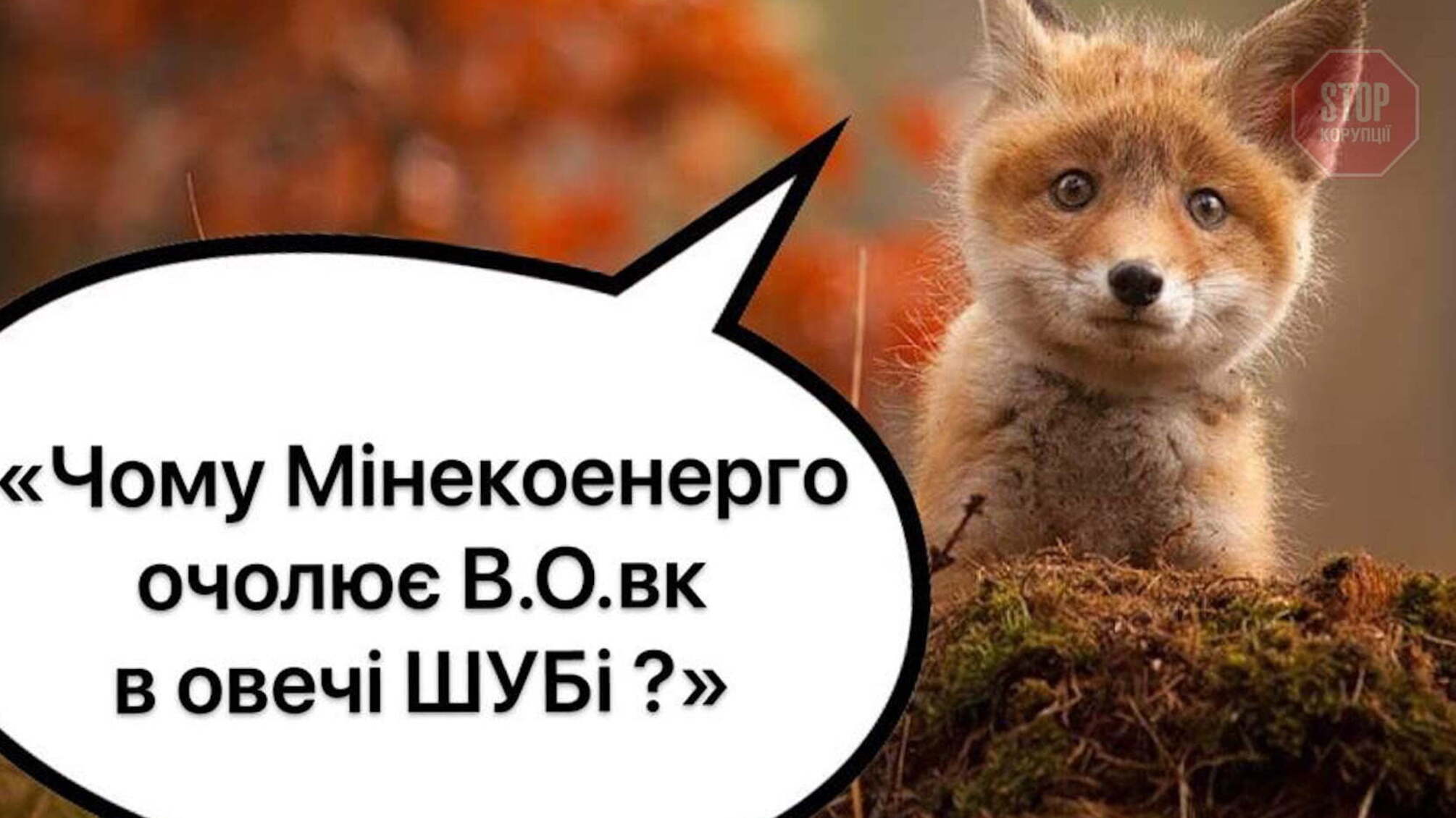 Шубін розчищає структури Мінекоенерго для 'своїх' людей, – журналісти