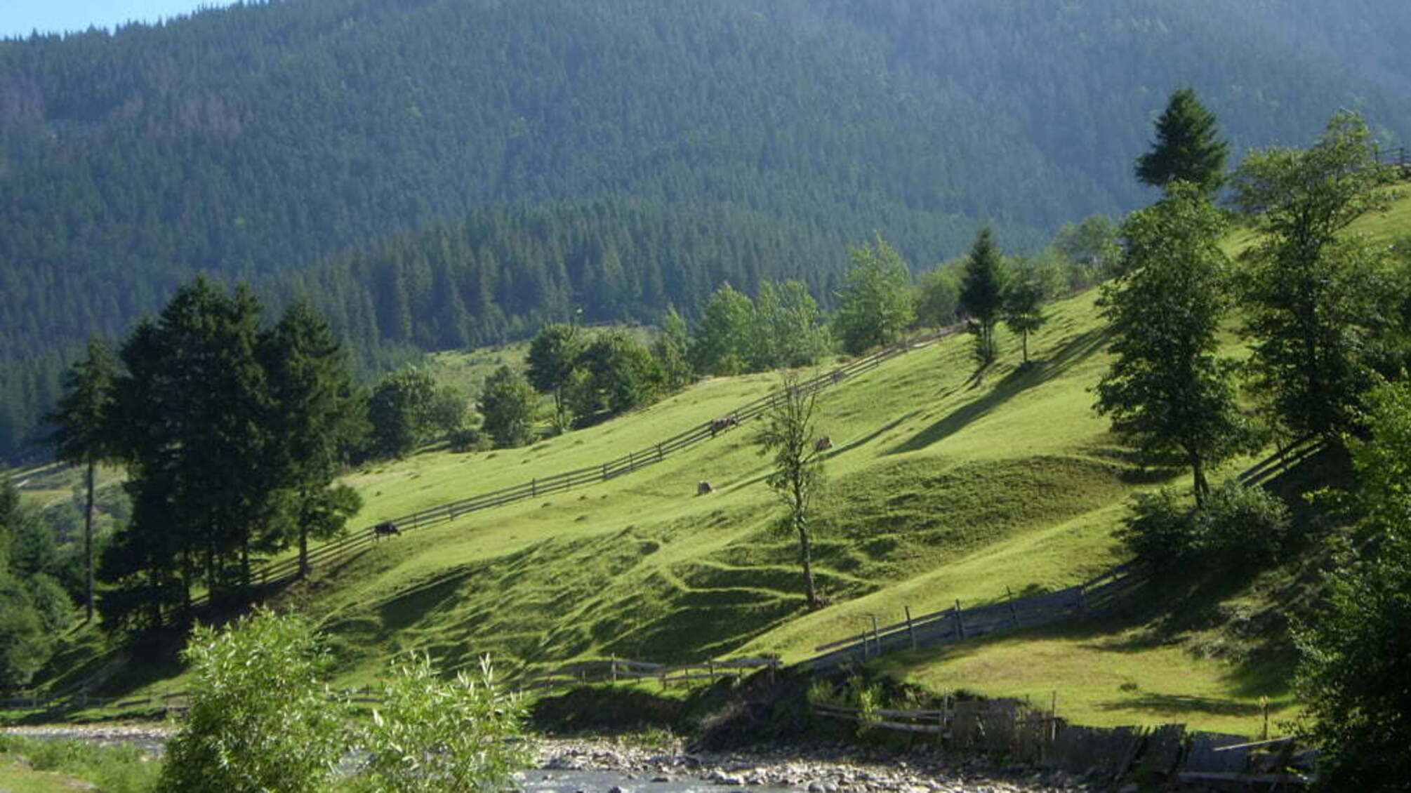 На Закарпатті виставляють блокпости