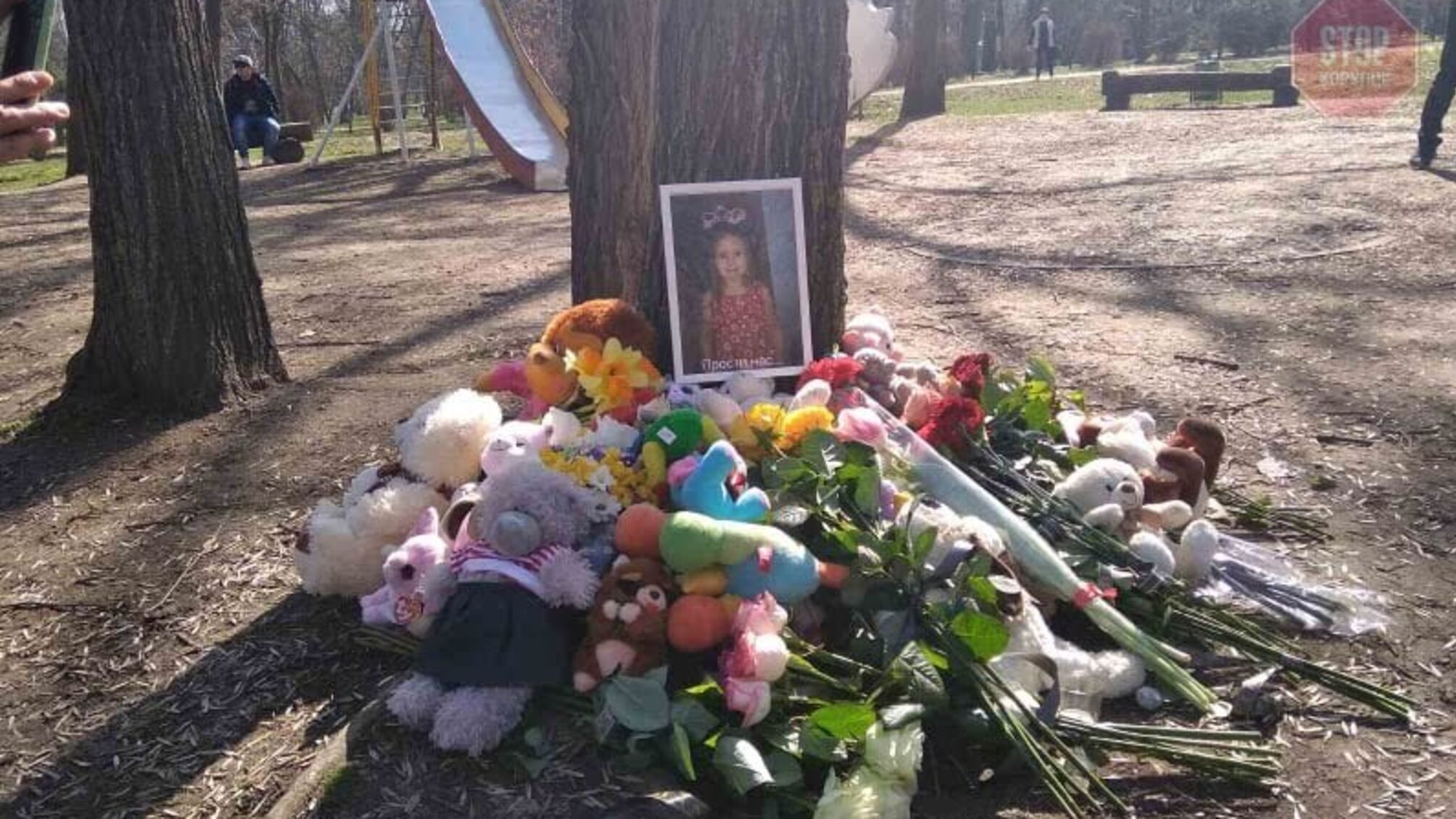У Запоріжжі 8-річгу дівчинку вбила дерев'яна скульптура (фото)