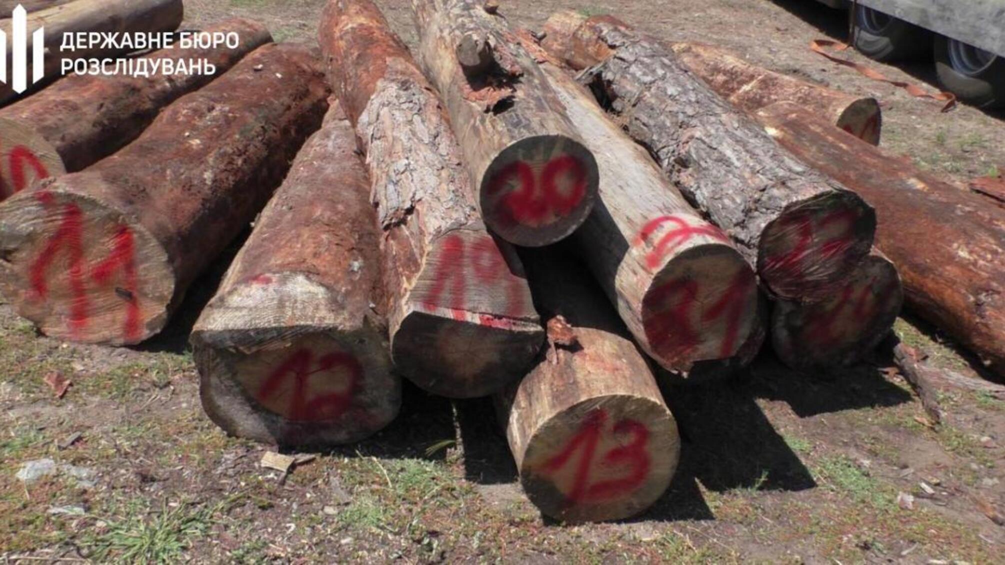 360 тис грн хабара за продаж ділової деревини – директор ДП постане перед судом
