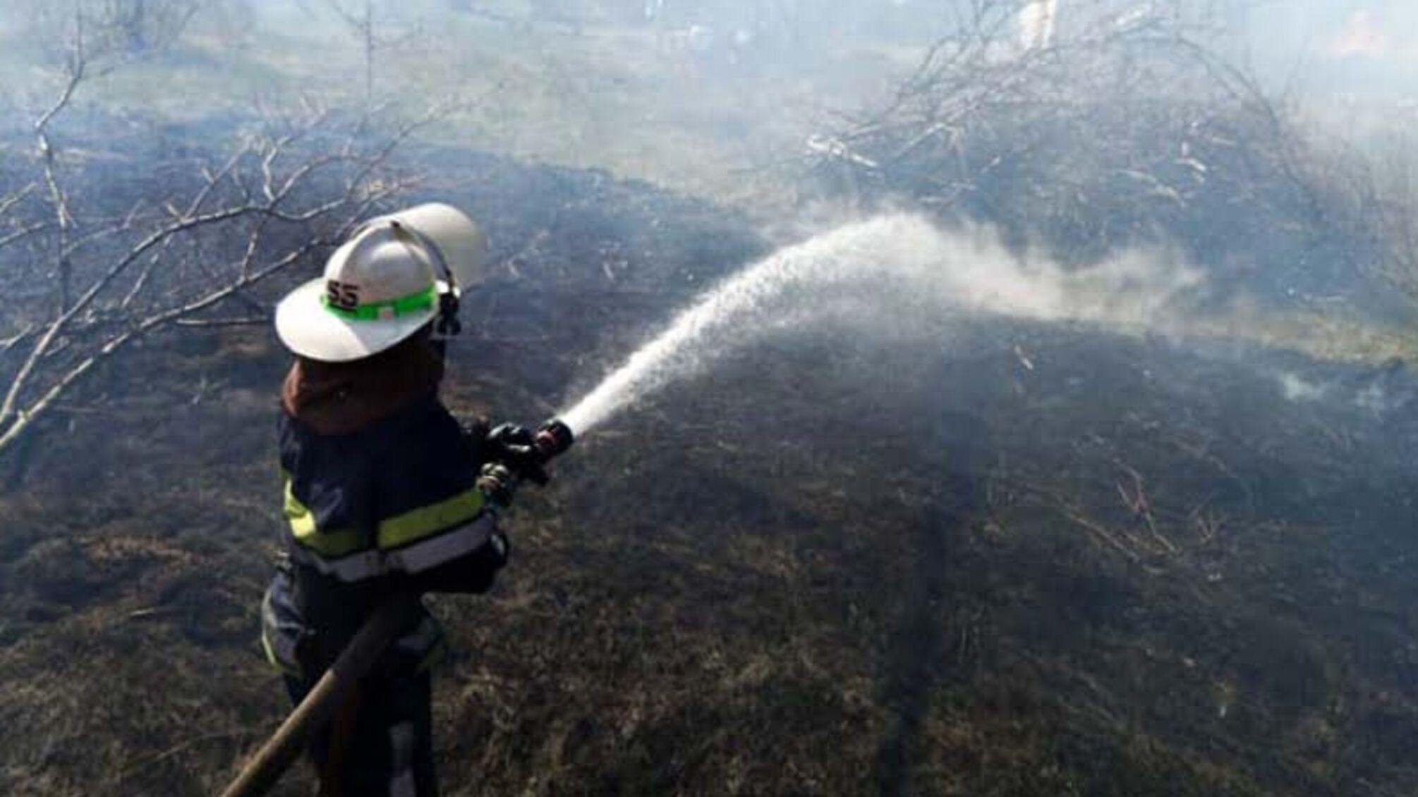 На Дніпропетровщині протягом доби ліквідовано 24 пожежі в природних екосистемах