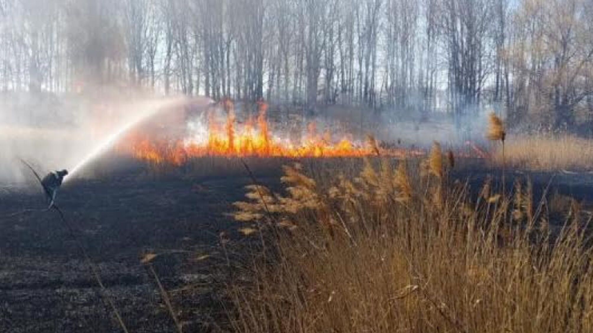 За минулу добу рятувальники Черкащини ліквідували 9 пожеж сухої рослинності та сміття