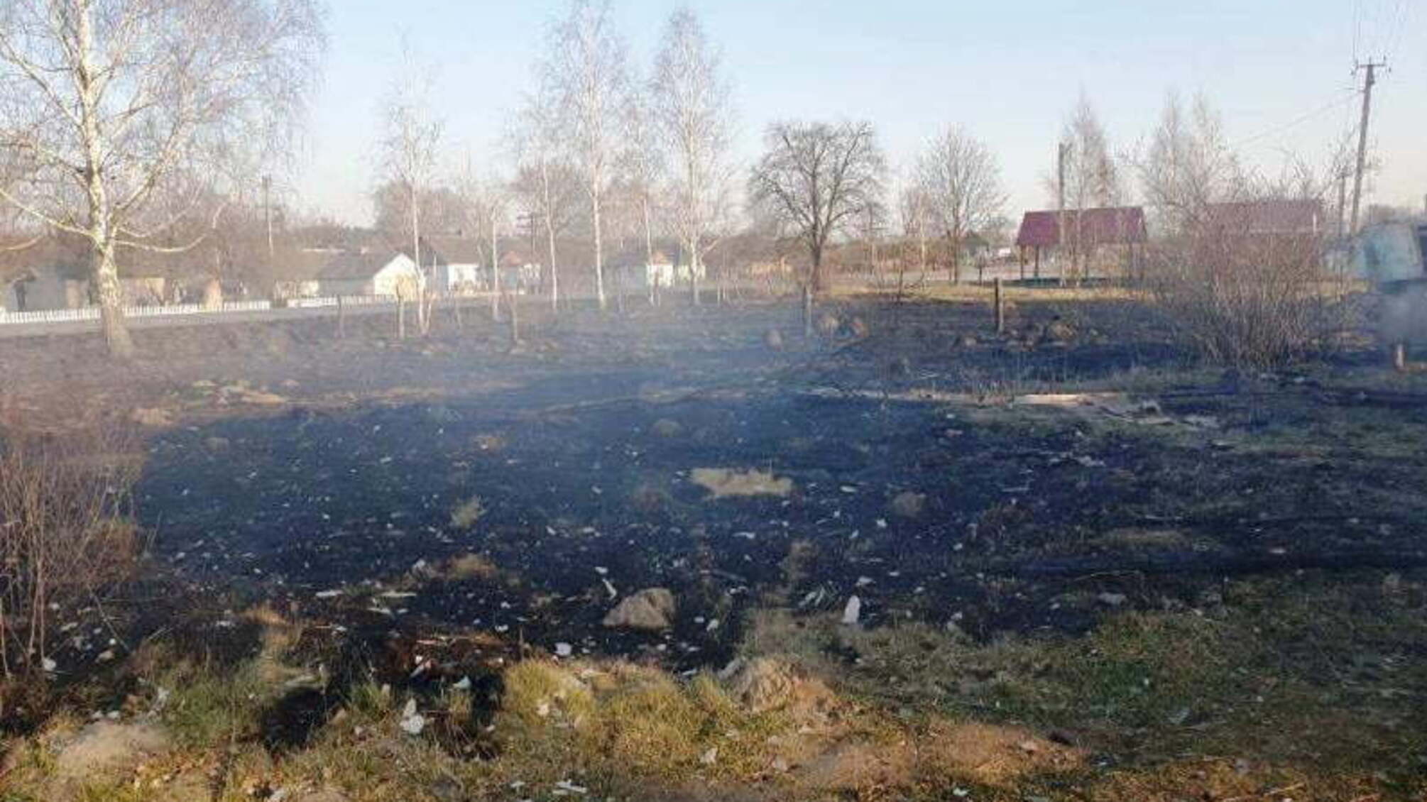 Житомирська область: упродовж доби вогнеборцями ліквідовано 30 займань сухотрав’я