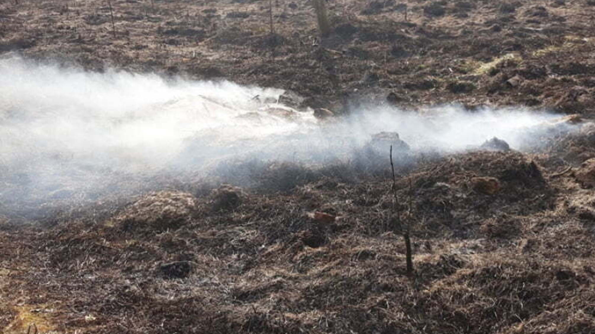 Житомирська область: вогнеборці гасять загоряння на торфополях