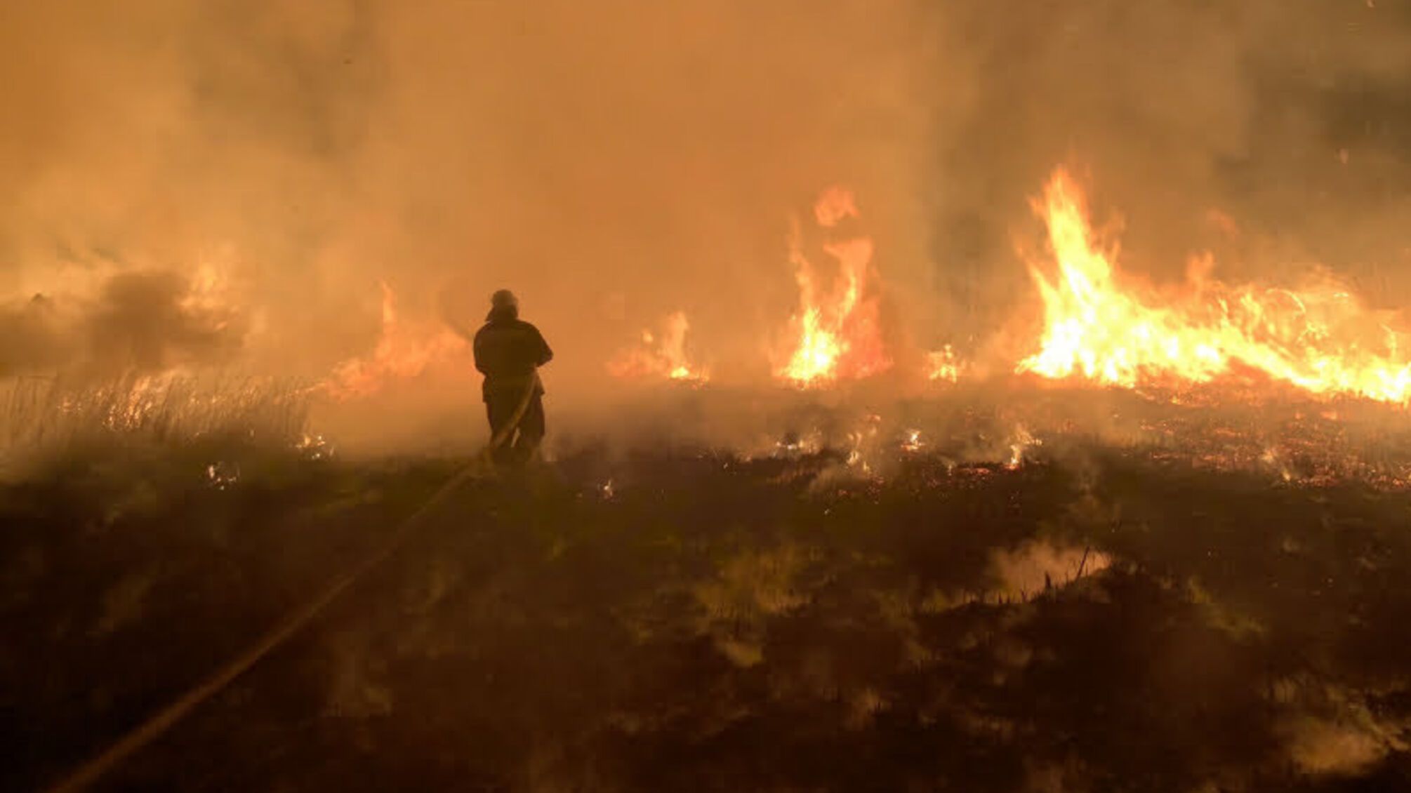 Черкаська область: за добу в екосистемах області виникло 7 пожеж