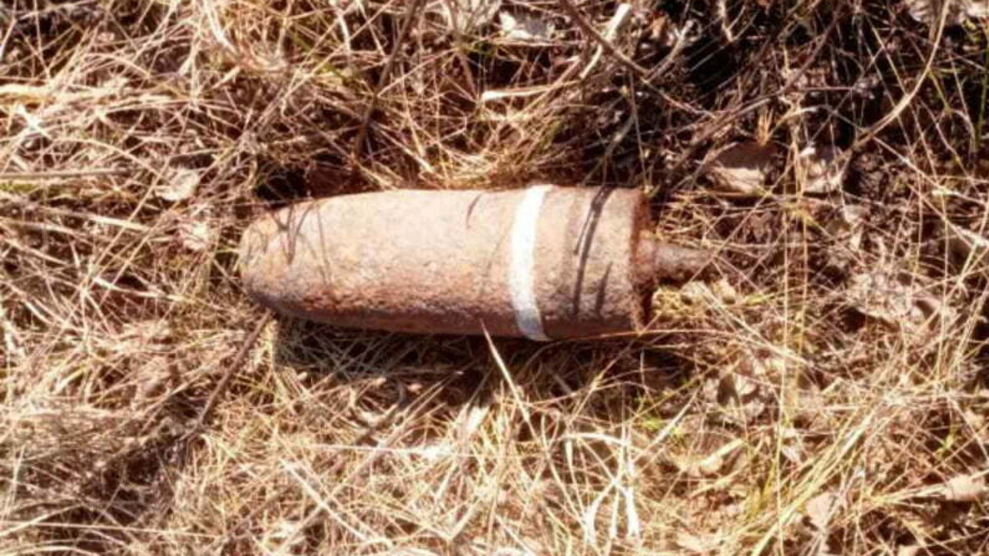 Житомирська область: знищено два артснаряди часів минулих війн