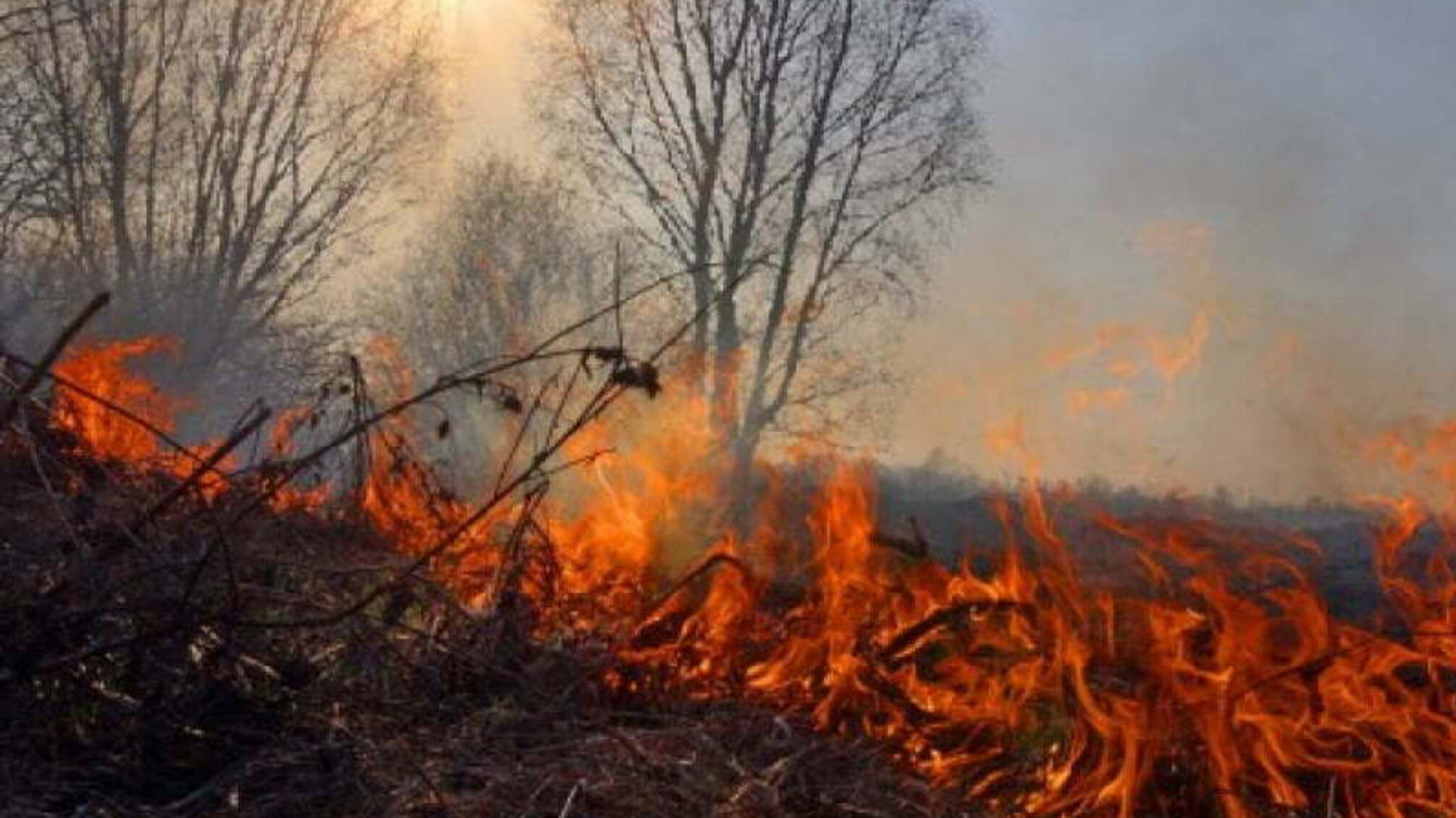 Львівська область: за минулу добу (7 квітня) зареєстрували 67 пожеж сухої трави, одна з яких забрала життя людини