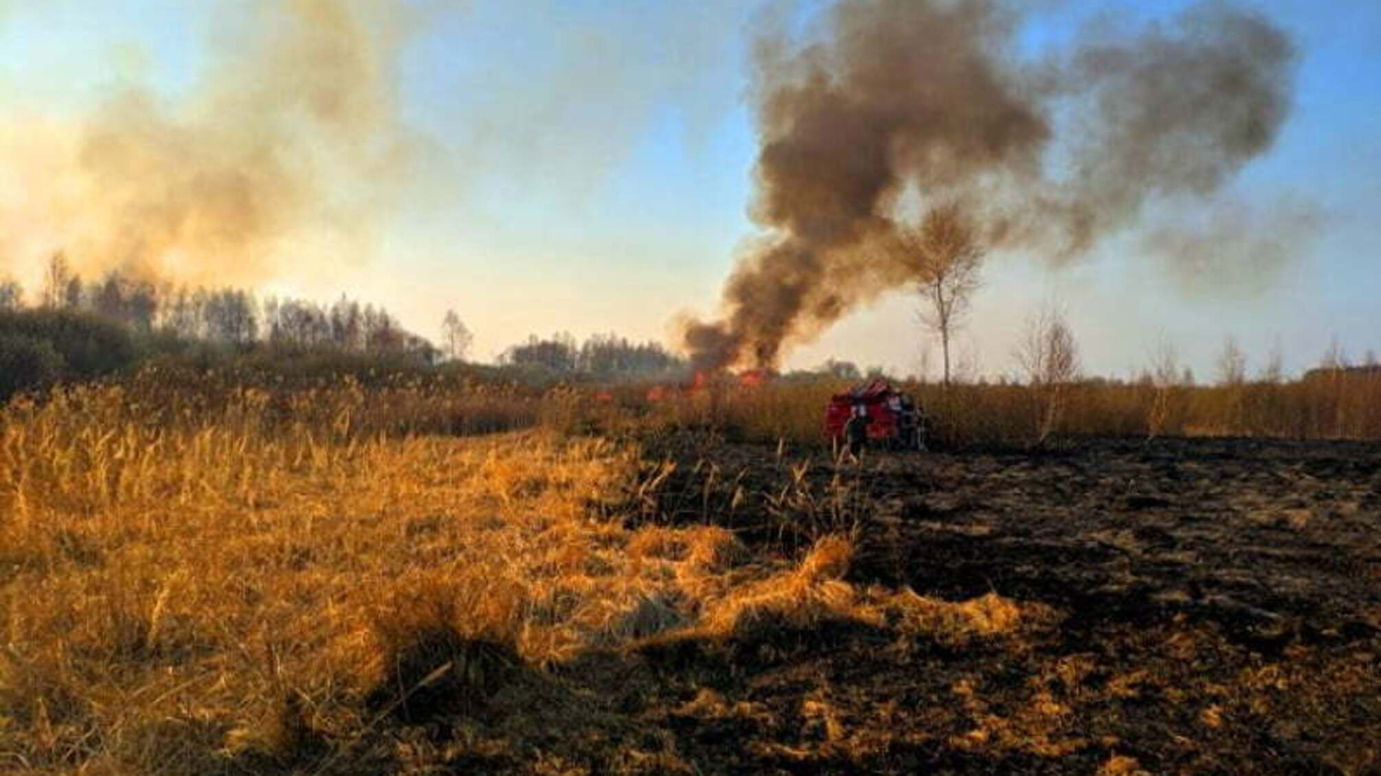Київська область: рятувальники ліквідували масштабну пожежу в екосистемах (ВІДЕО)
