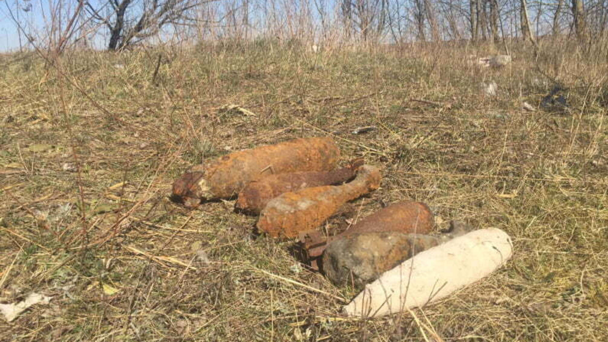 На Волині сапери знешкодили 6 боєприпасів, виявлених у полі сільськими жителями