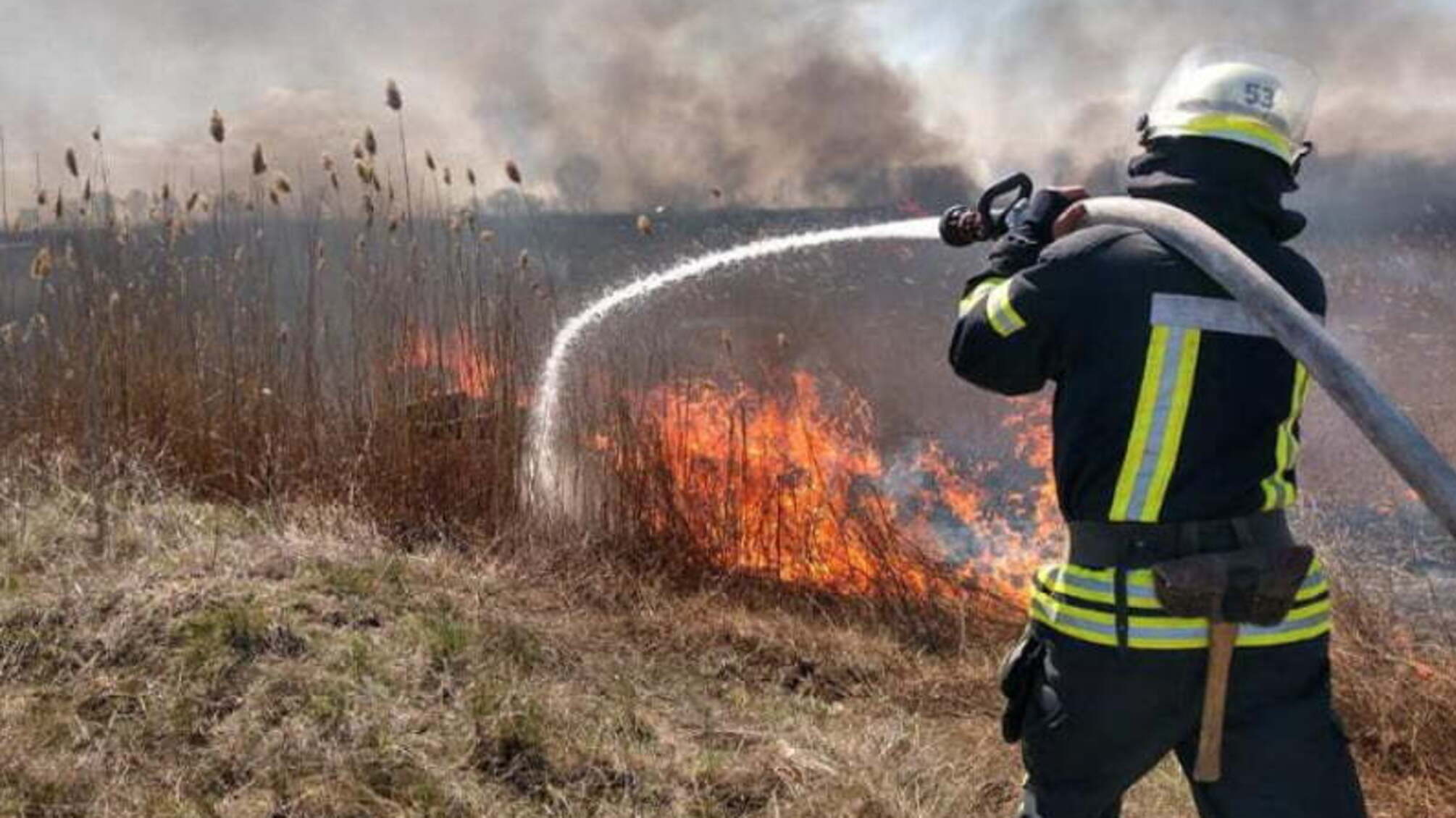 Дніпропетровська область: надзвичайники вкотре ліквідовують займання в екосистемах