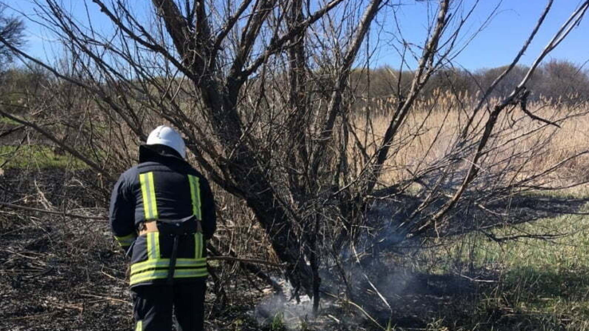 За добу на Кіровоградщині виникло 5 пожеж сухої рослинності на відкритих територіях