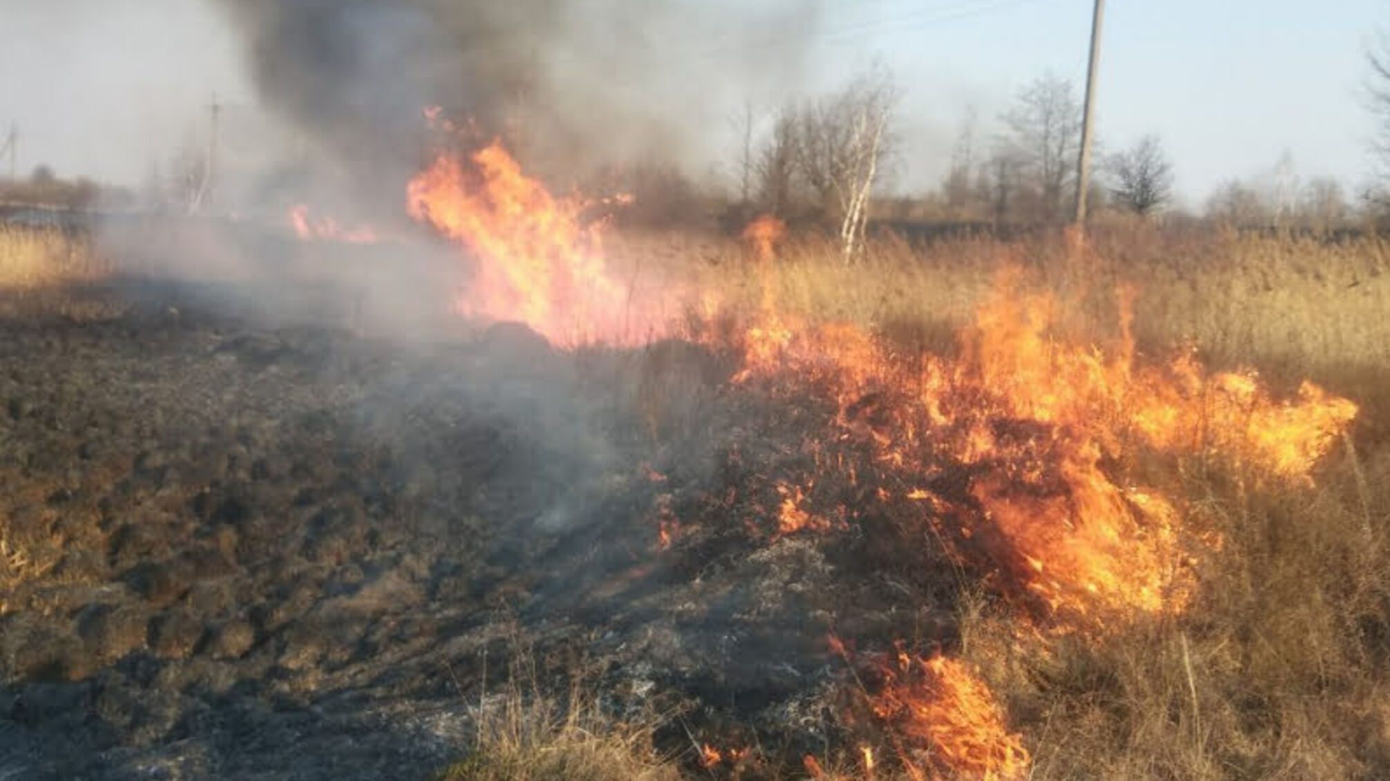 Житомирська область: упродовж минулої доби вогнеборцями області ліквідовано 23 загоряння сухої рослинності та ще 5 – сміття