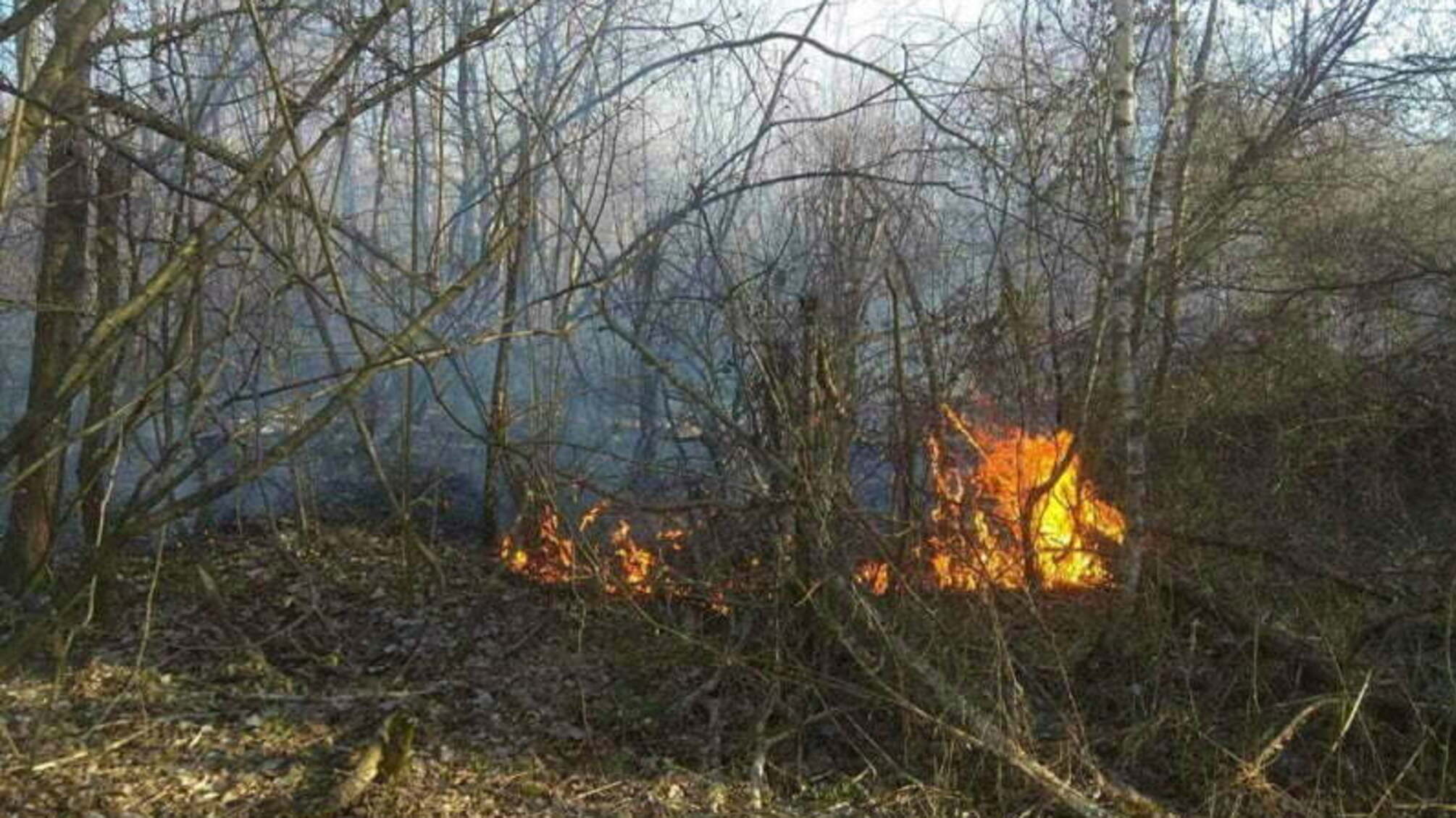 Закарпаття: земля 'сивіє' від пожеж сухої трави… Перед тим як підносити сірник до сухостою - замисліться