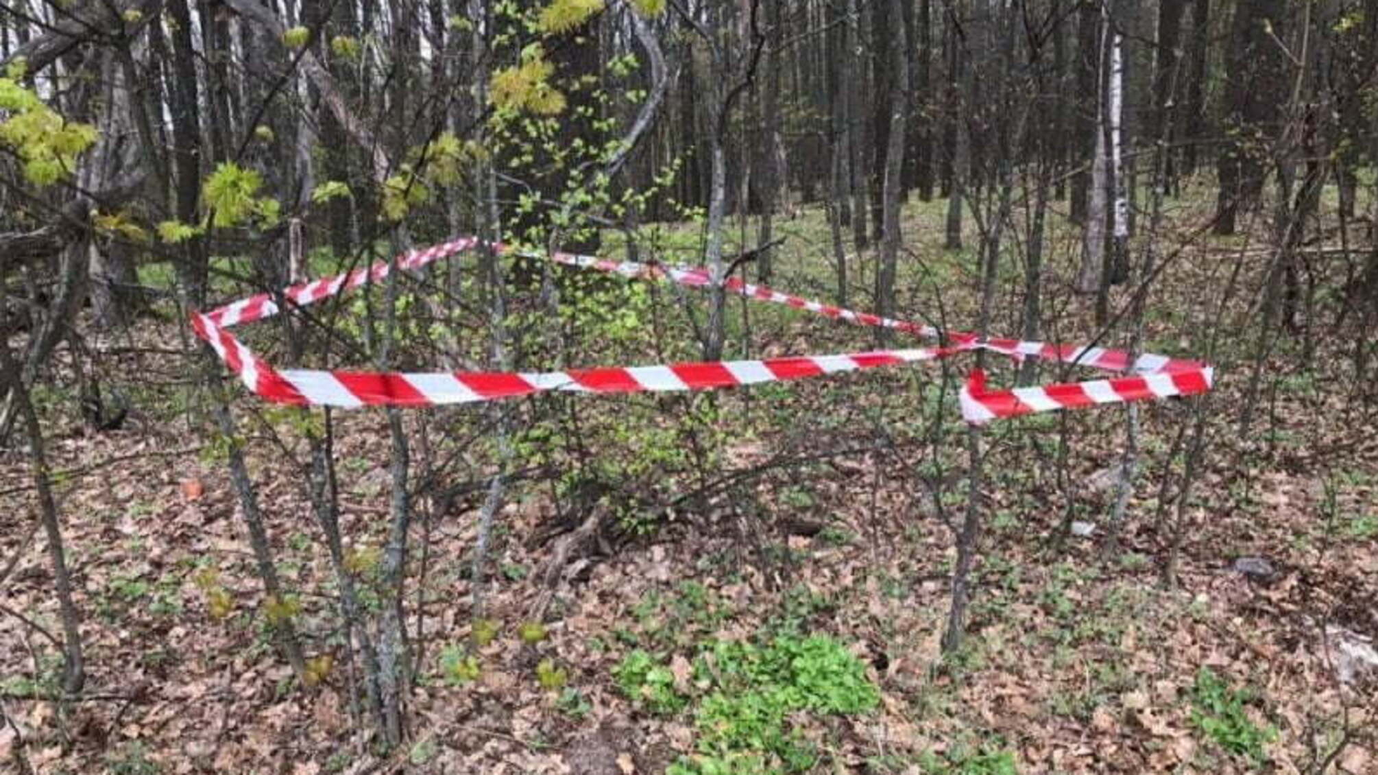 Сумська область: упродовж доби виявили 2 боєприпаси часів минулих війн