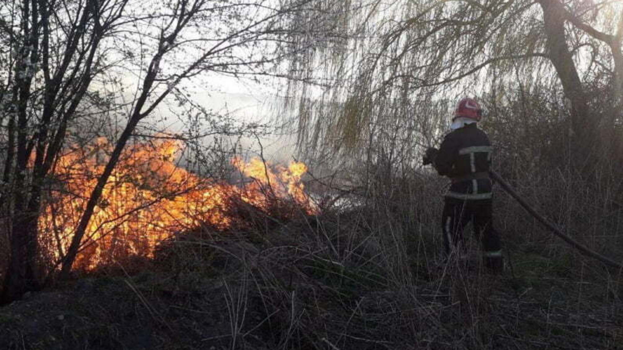 Тернопільська область: триває ліквідація масштабної пожежі на території Чистилівського орнітологічного заказника