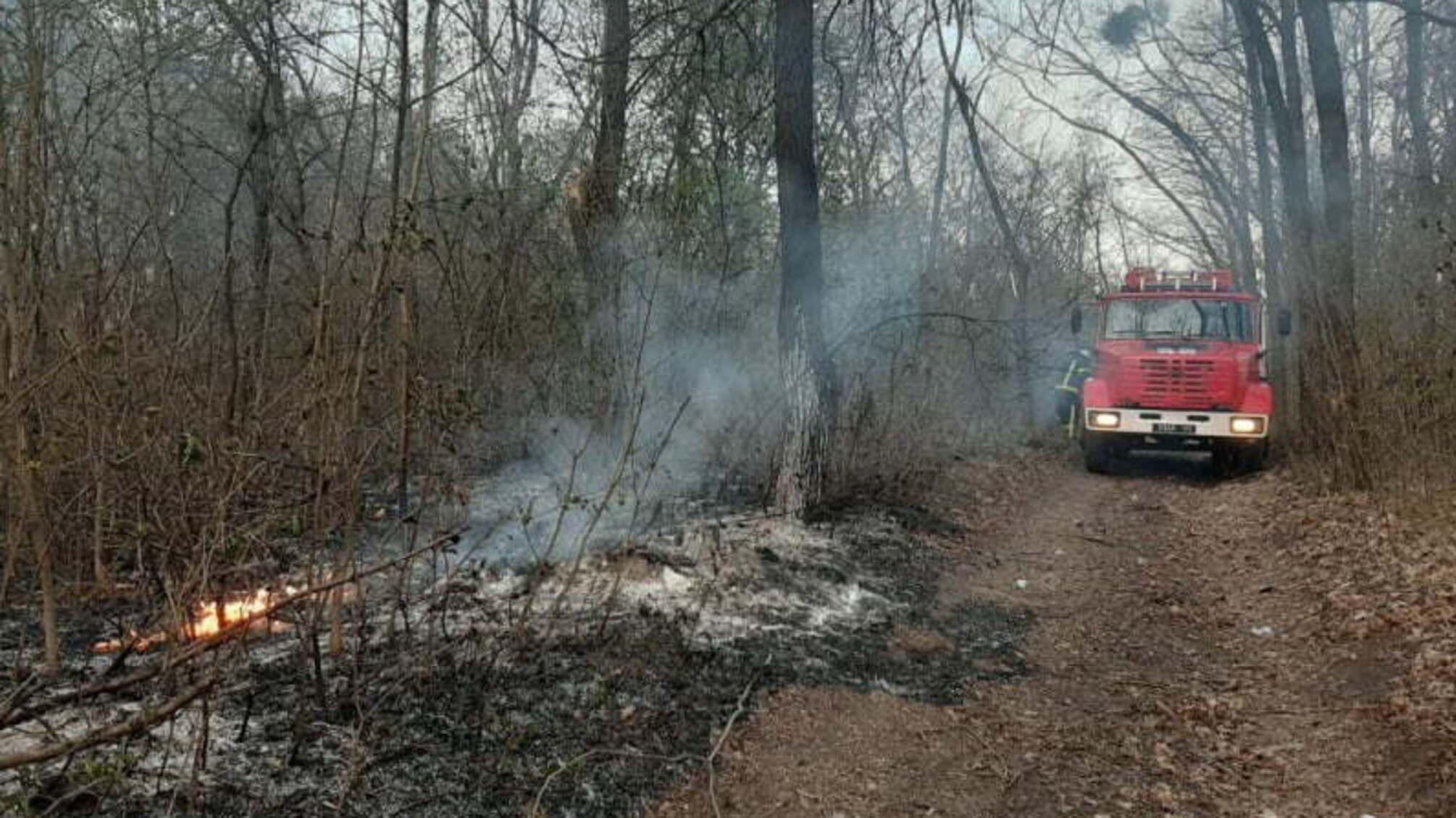 Черкаська область: минулої доби рятувальники ліквідували 6 пожеж сухої рослинності (ВІДЕО)