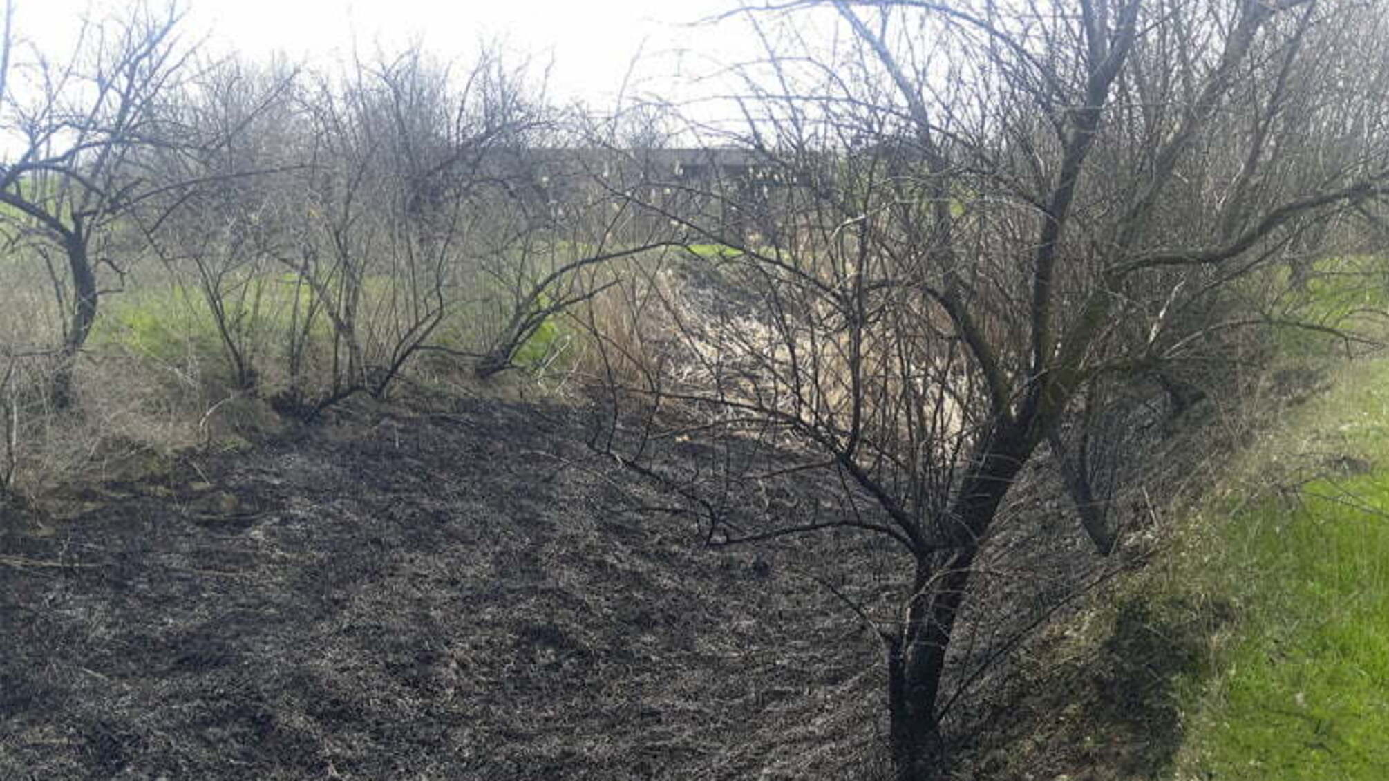 Миколаївська область: вогнеборці ліквідували пожежу 2 га очерету