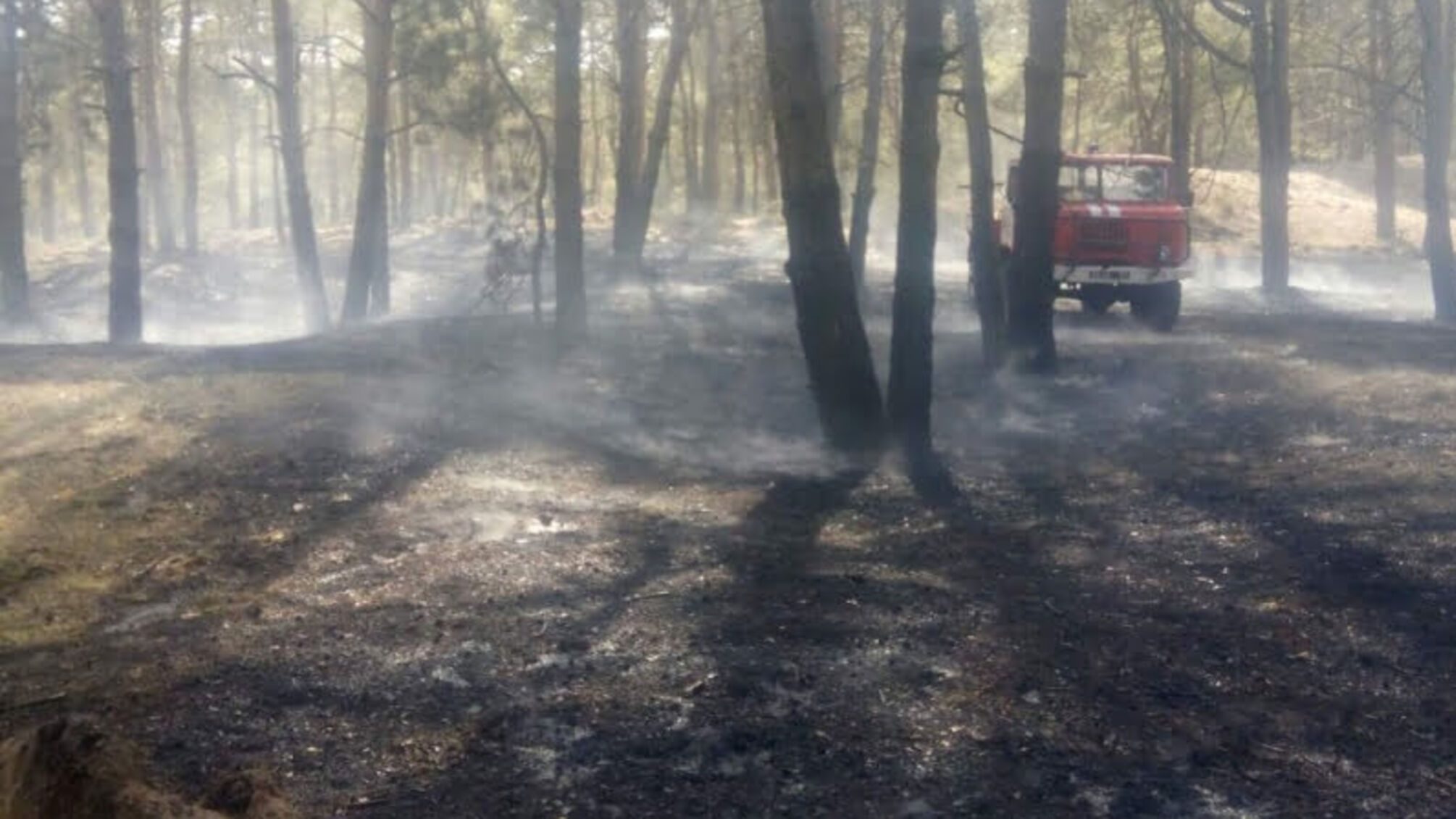 Минулої доби рятувальники Херсонщини залучались до ліквідації двох лісових пожеж