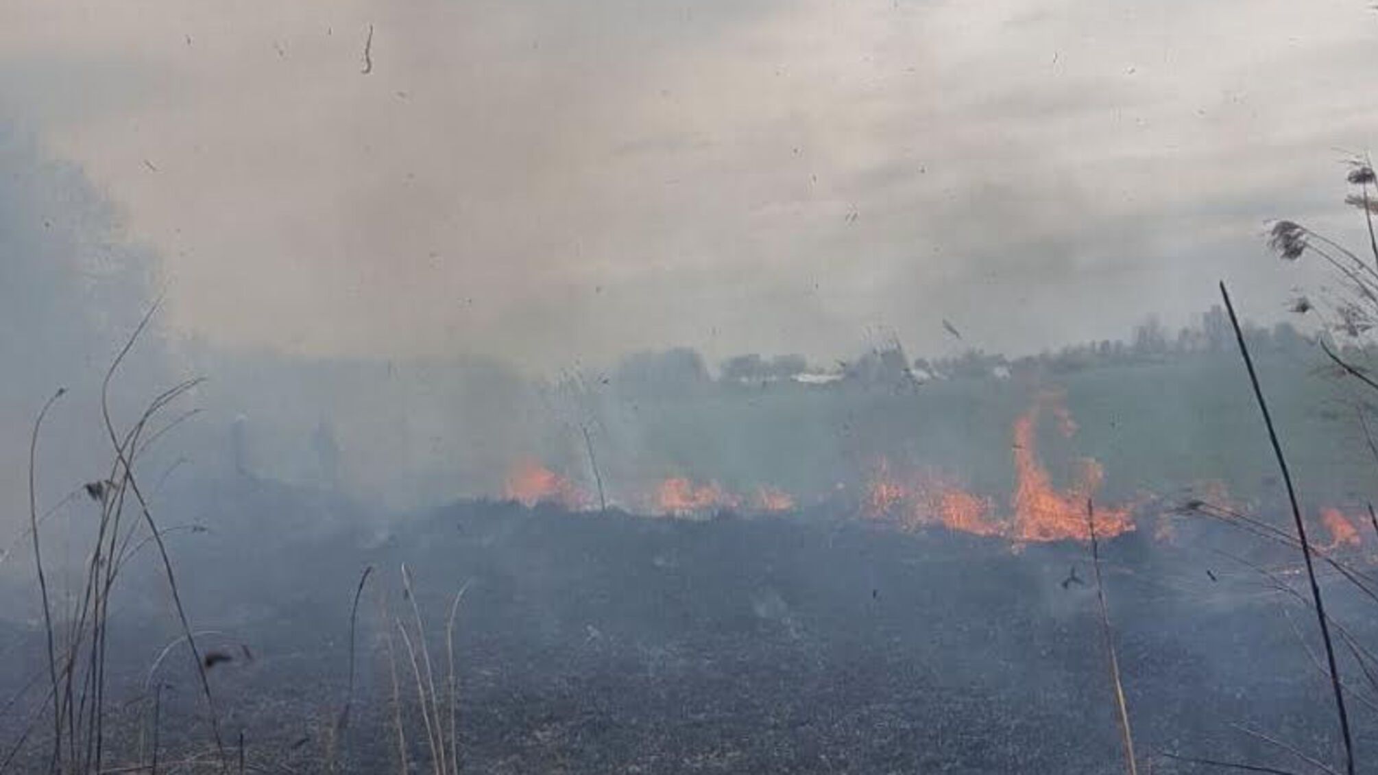 Полтавська область: вогнеборці ліквідували 11 пожеж на відкритій території та 1 лісову пожежу