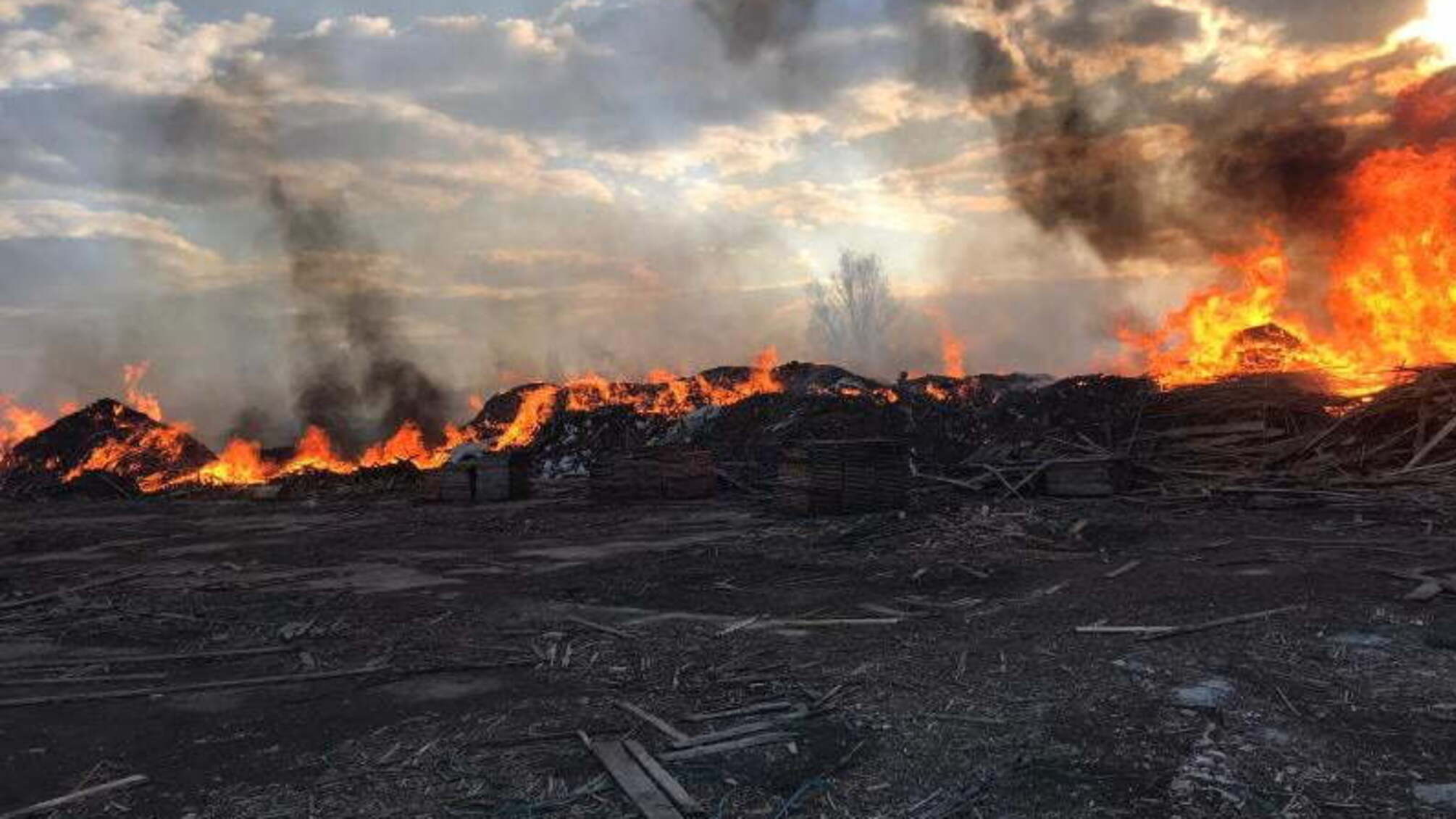 Житомир: вогнеборці ліквідували загоряння відходів пиломатеріалів на відкритій території