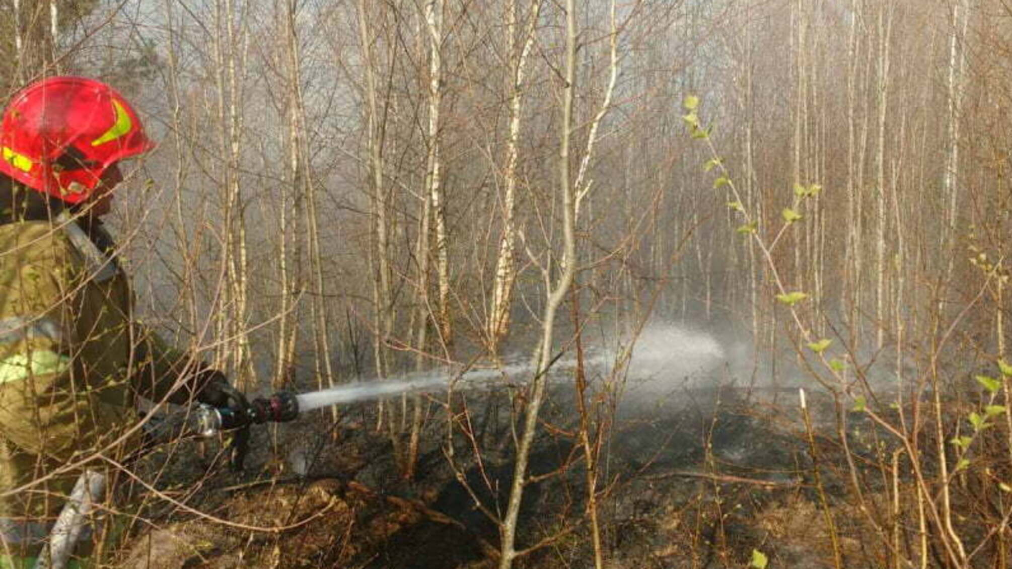 Хмельницька область: рятувальники спільно із працівниками лісгоспу ліквідували пожежу лісової підстилки