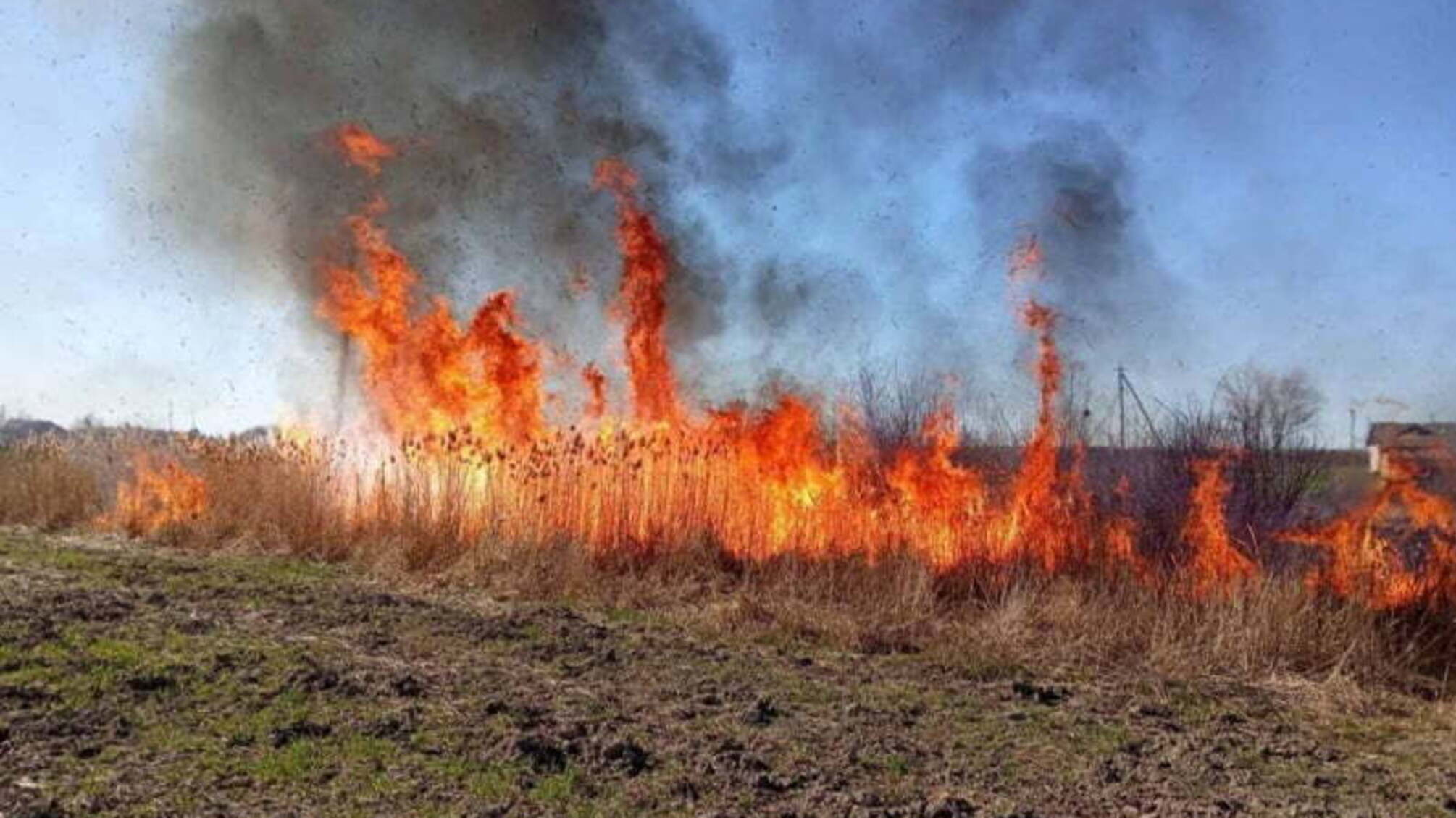 На Закарпатті продовжує горіти суха трава