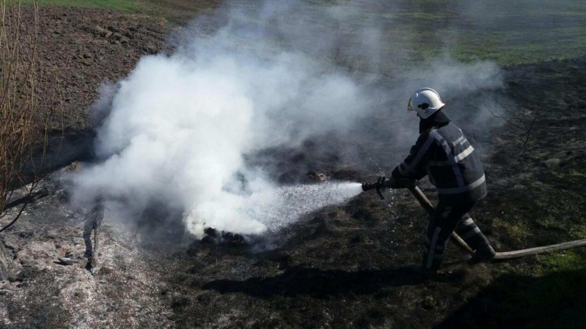 Київська область: вогнеборці продовжують боротьбу з пожежами в екосистемах