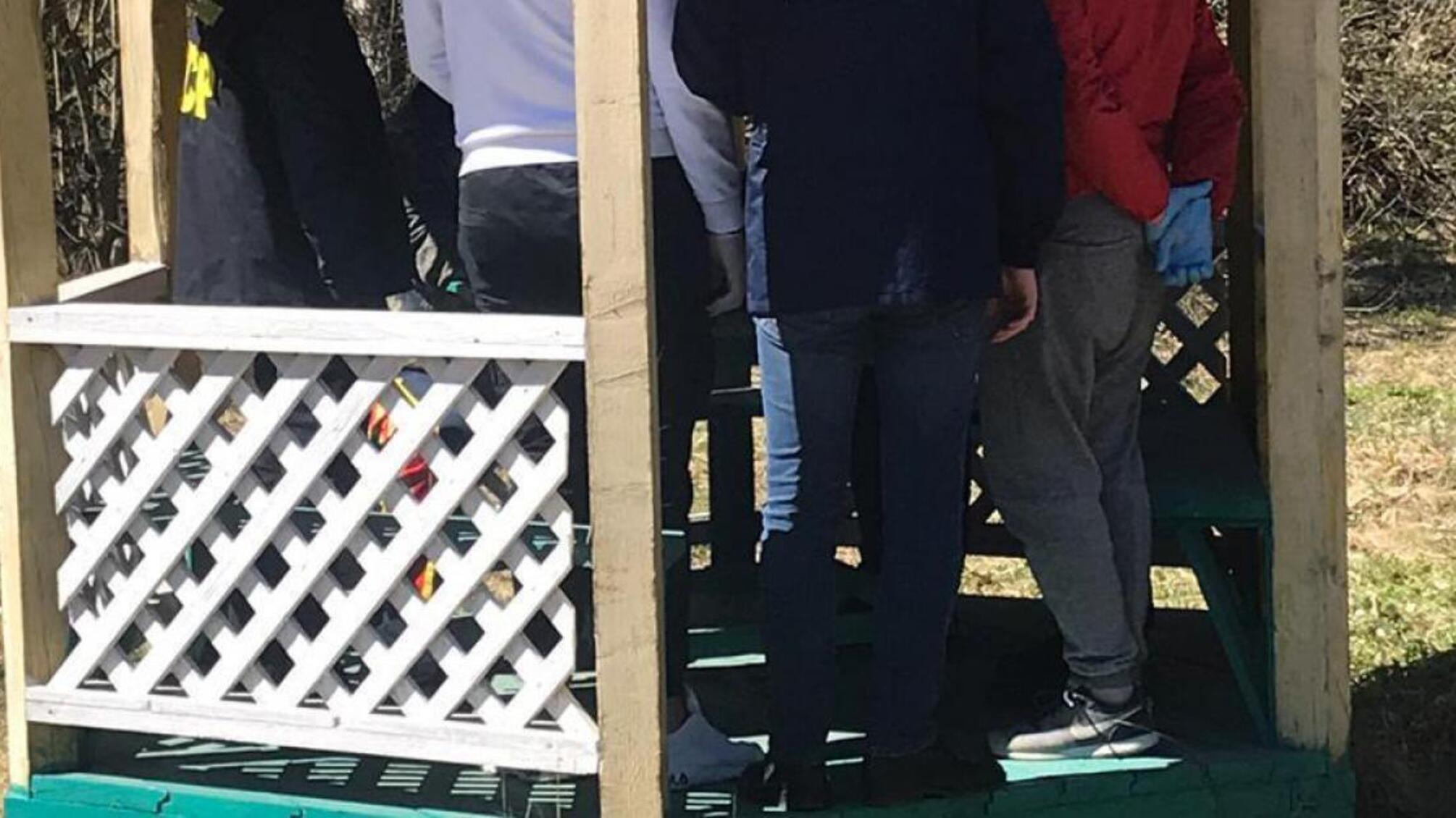 500 доларів США за незаконний продаж деревини з держлісгоспу — ДБР затримало лісничого