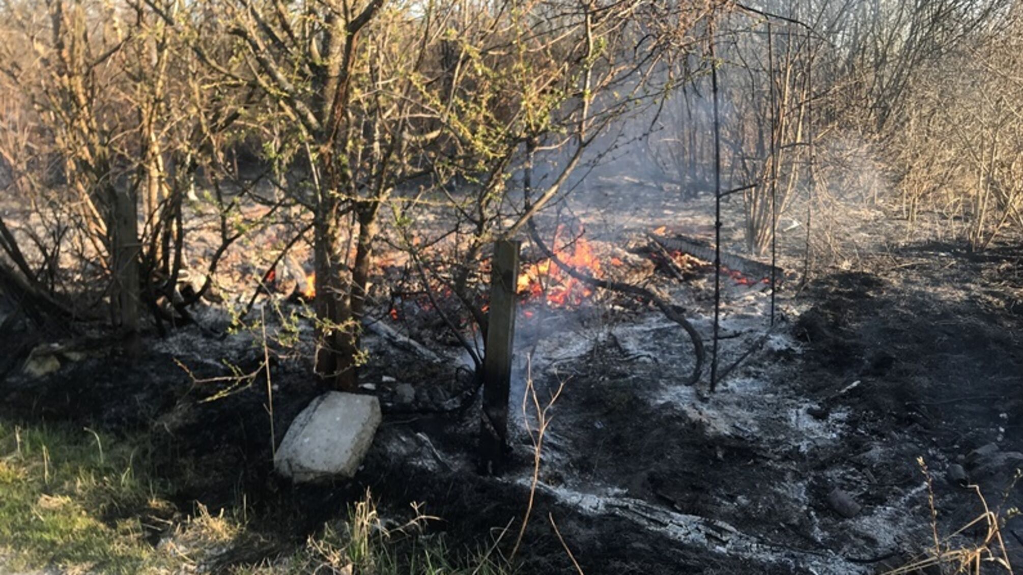 На Волині за минулу добу рятувальники ліквідували 4 пожежі в екосистемах