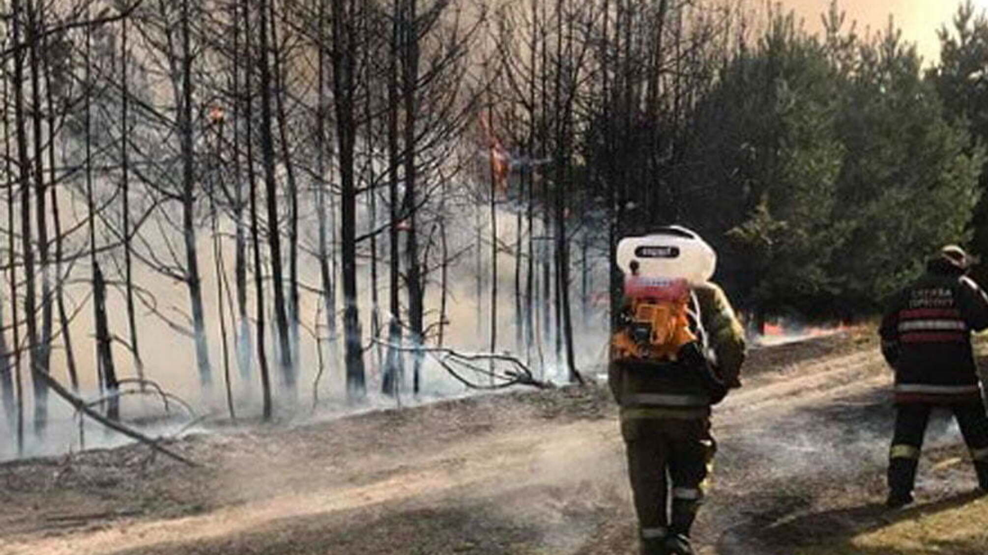 Полтавська область: рятувальники ліквідували лісову пожежу