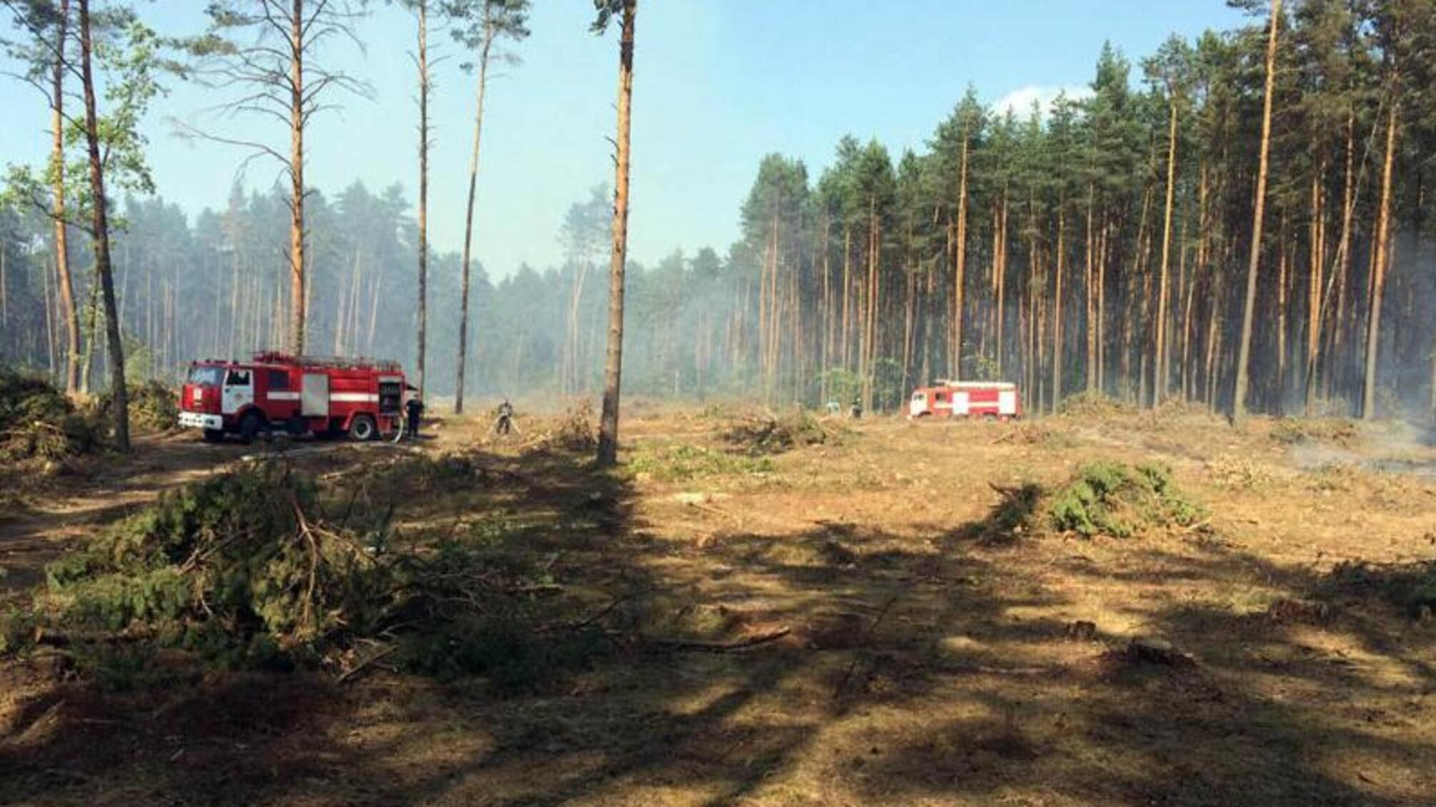 Хмельницька область: вогнеборці приборкали пожежу лісової підстилки на території комунального підприємства