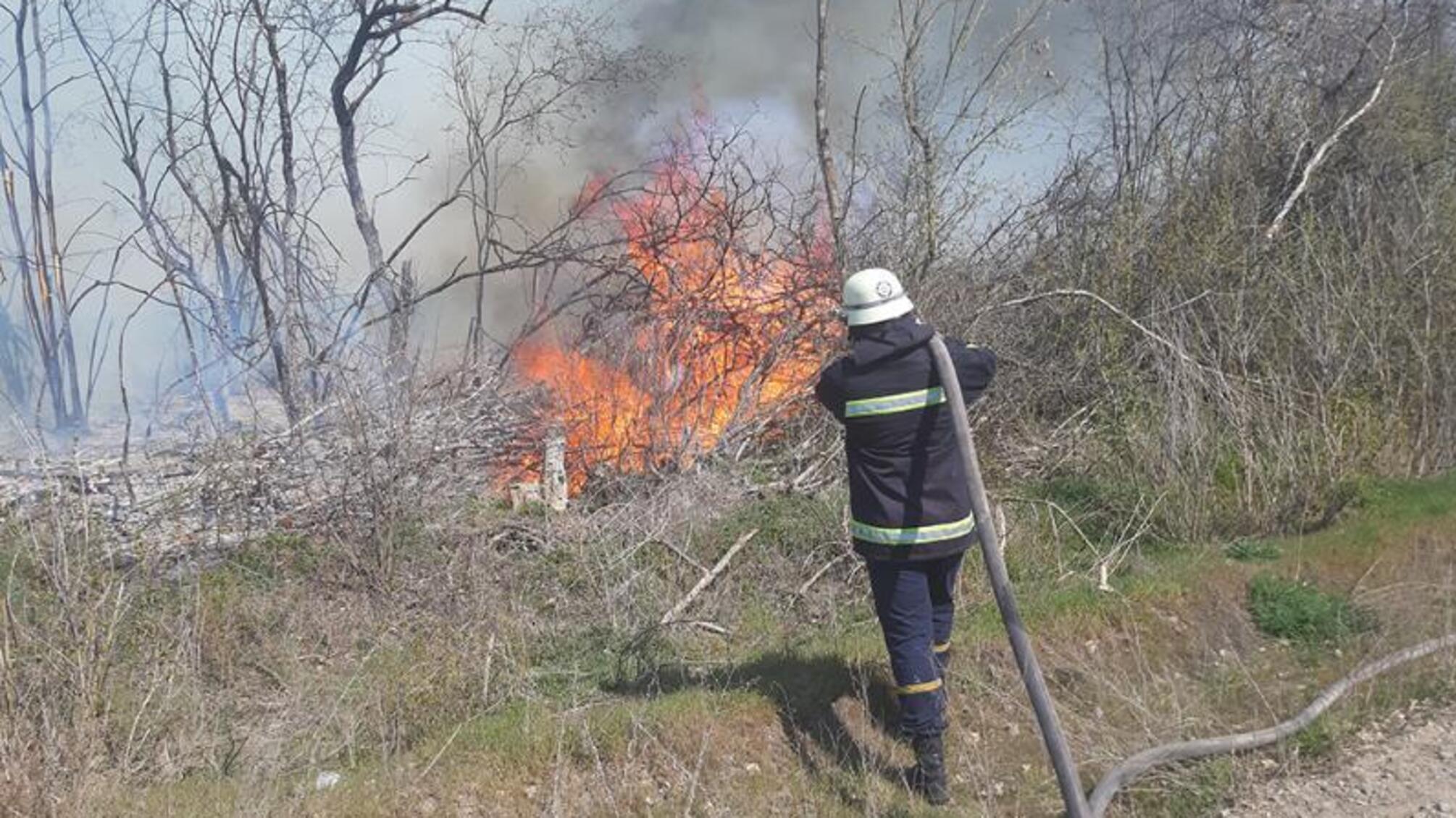 За добу на Миколаївщині вигоріло 12 га сухостою