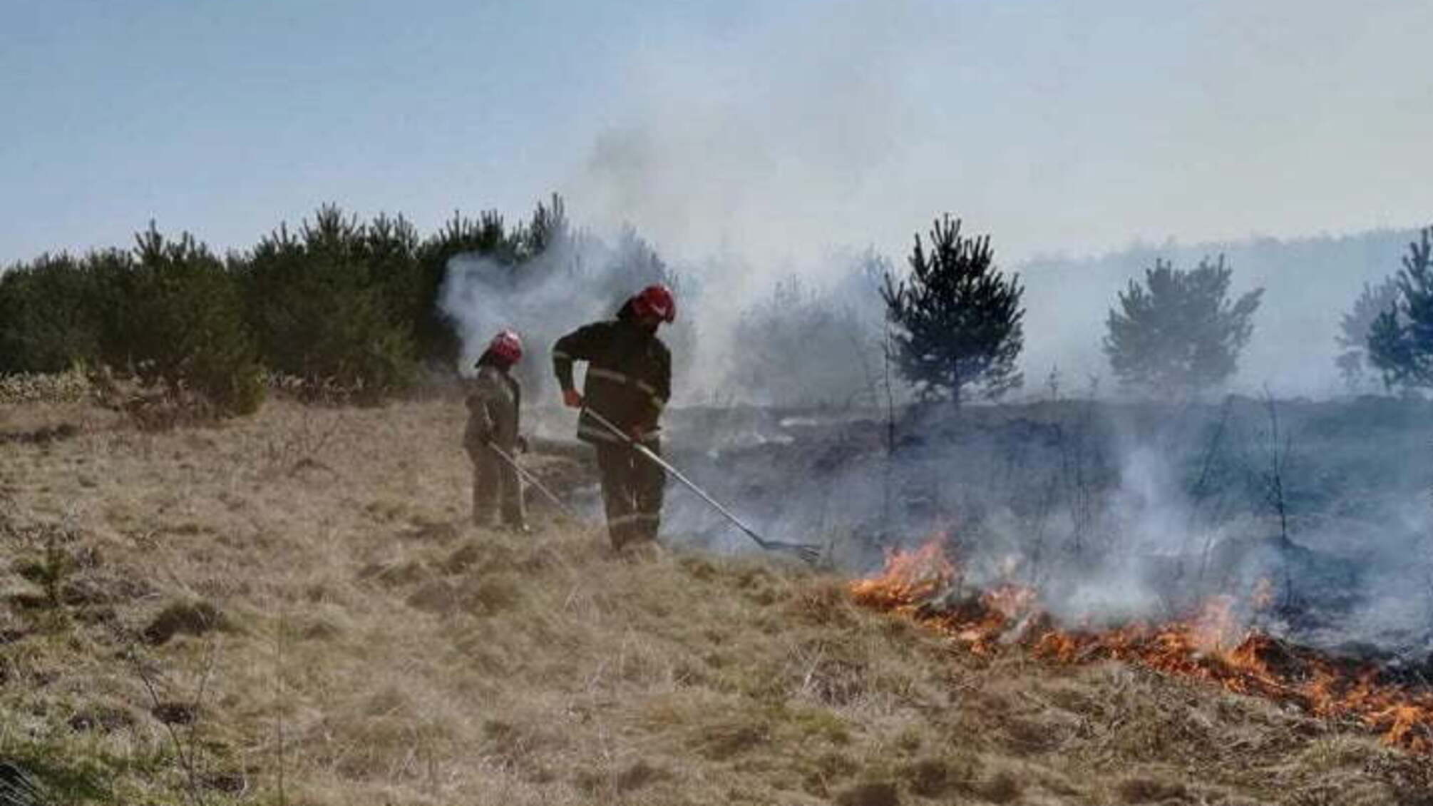 За минулу добу на Львівщині зареєстрували 61 пожежу сухої трави